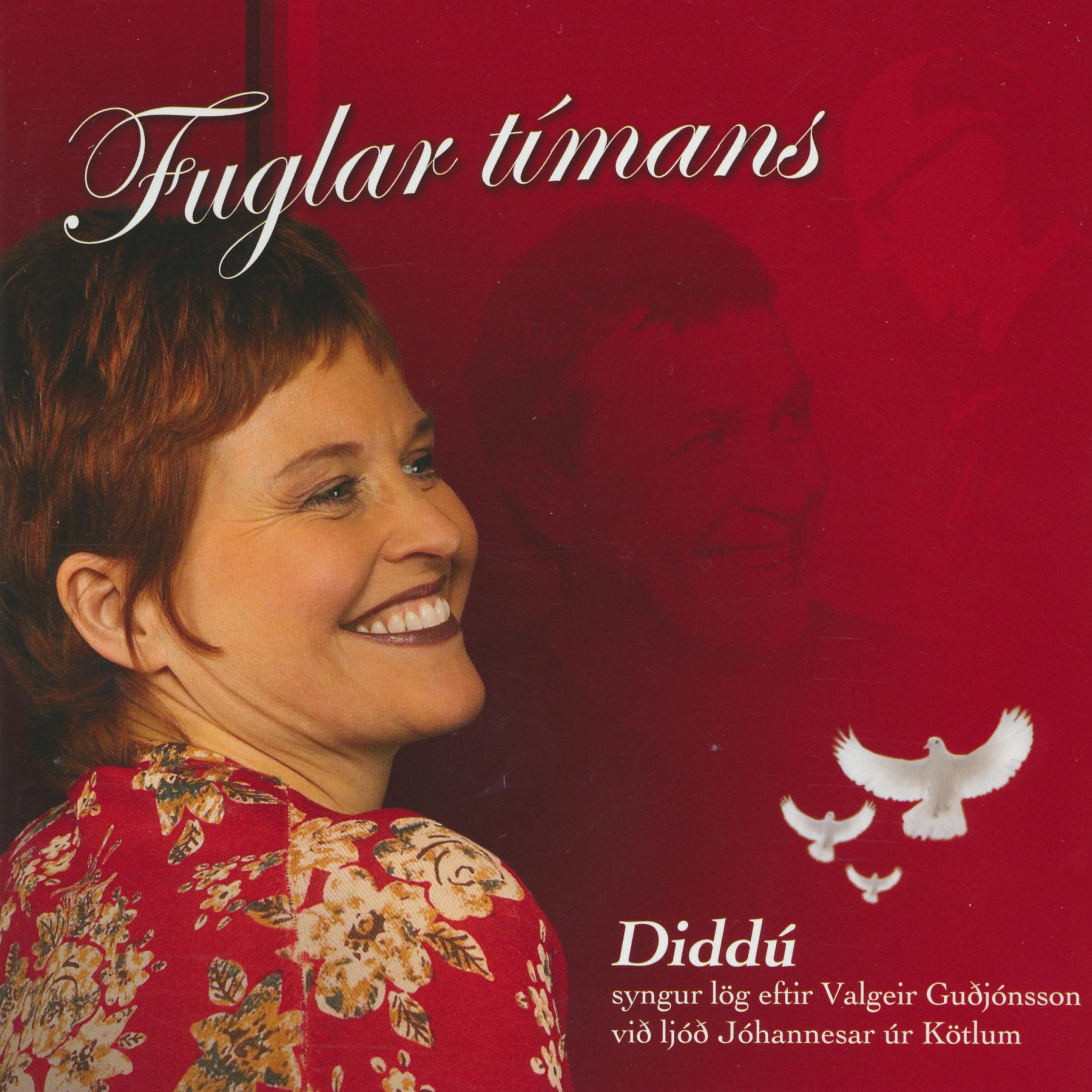 Постер альбома Fuglar Tímans