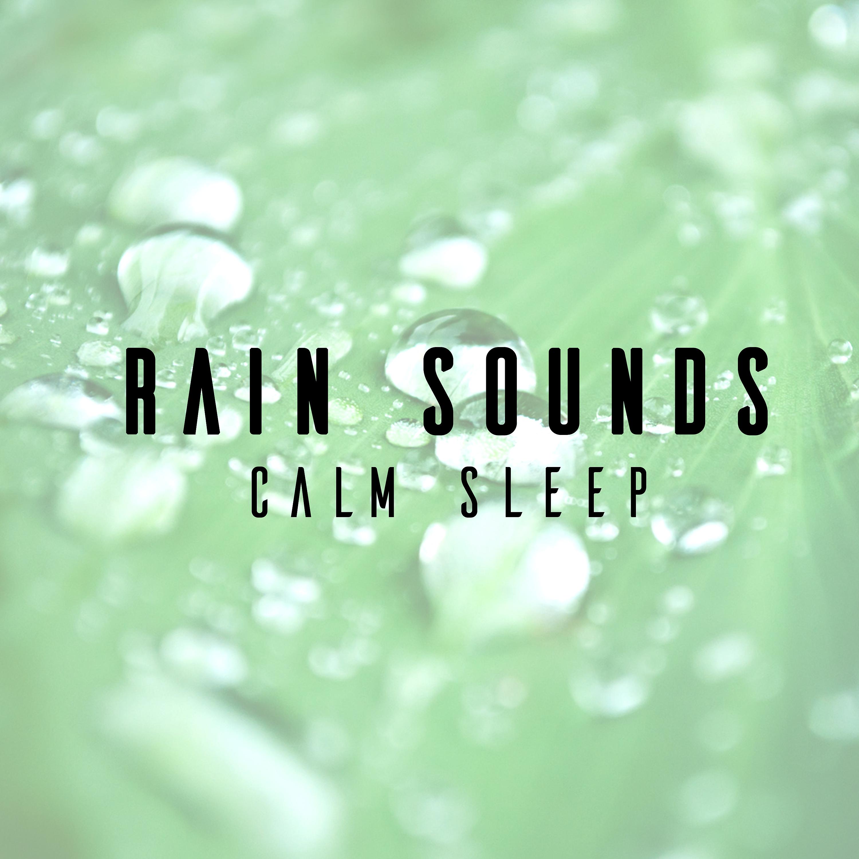 Постер альбома Rain Sounds: Calm Sleep