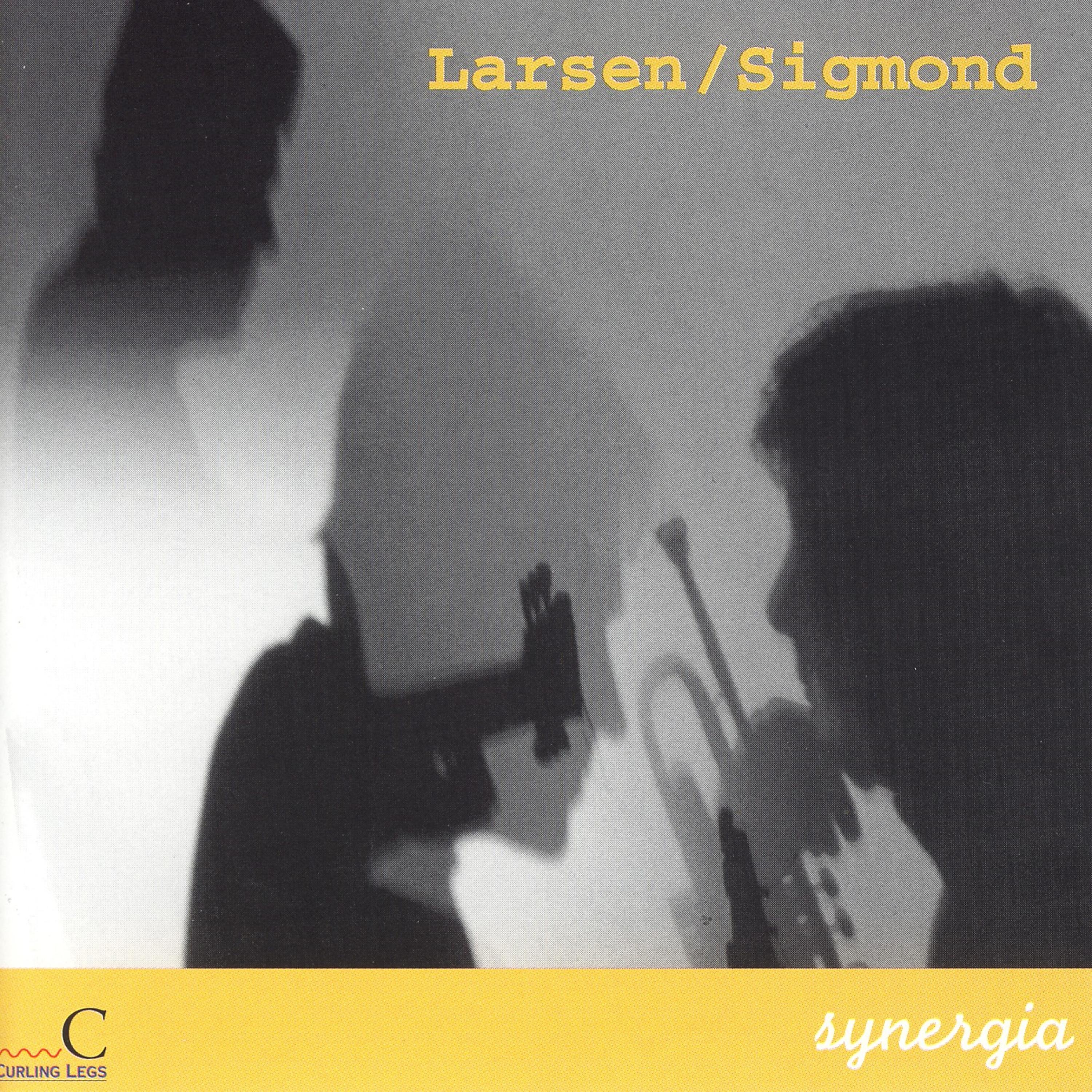 Постер альбома Synergia