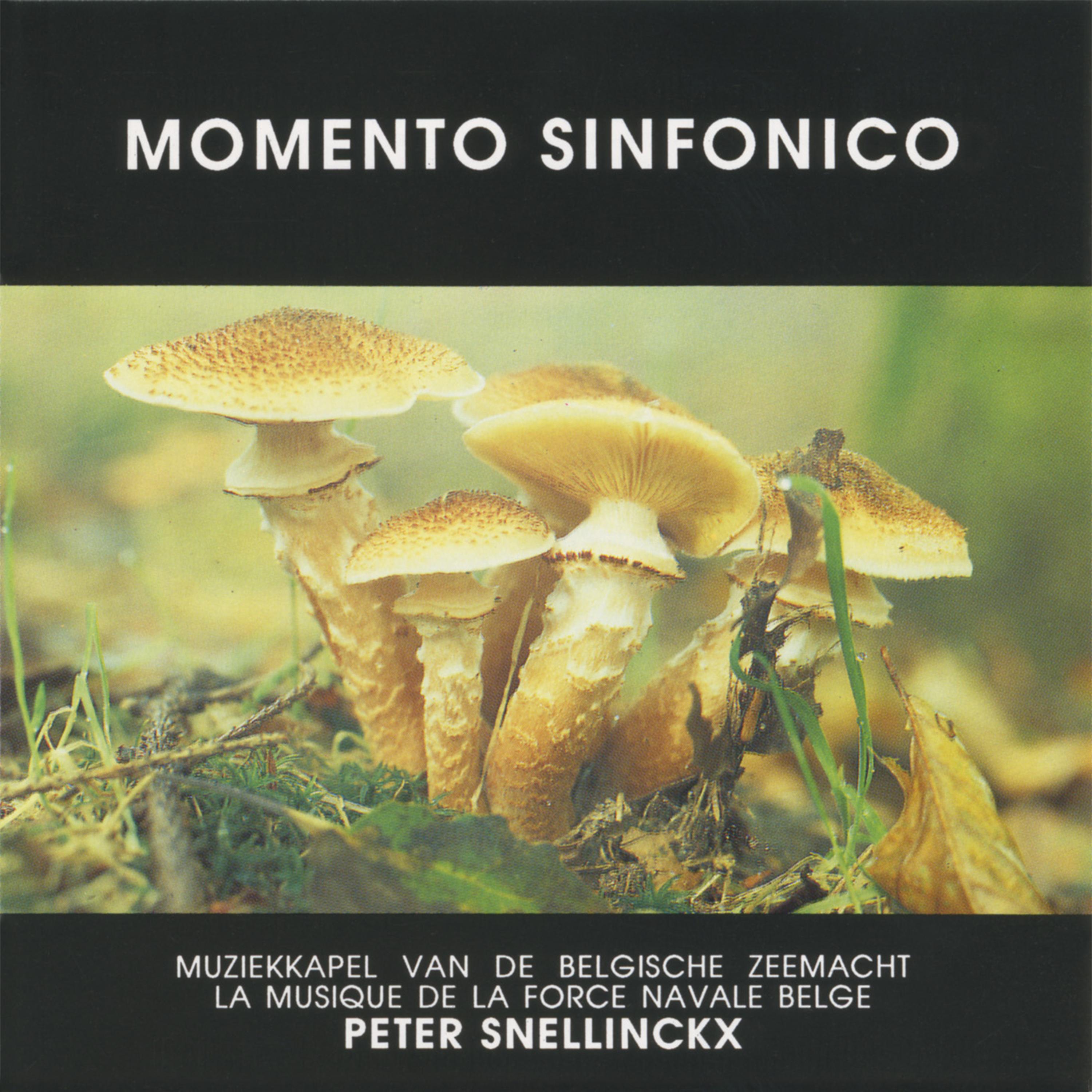 Постер альбома Momento Sinfonico