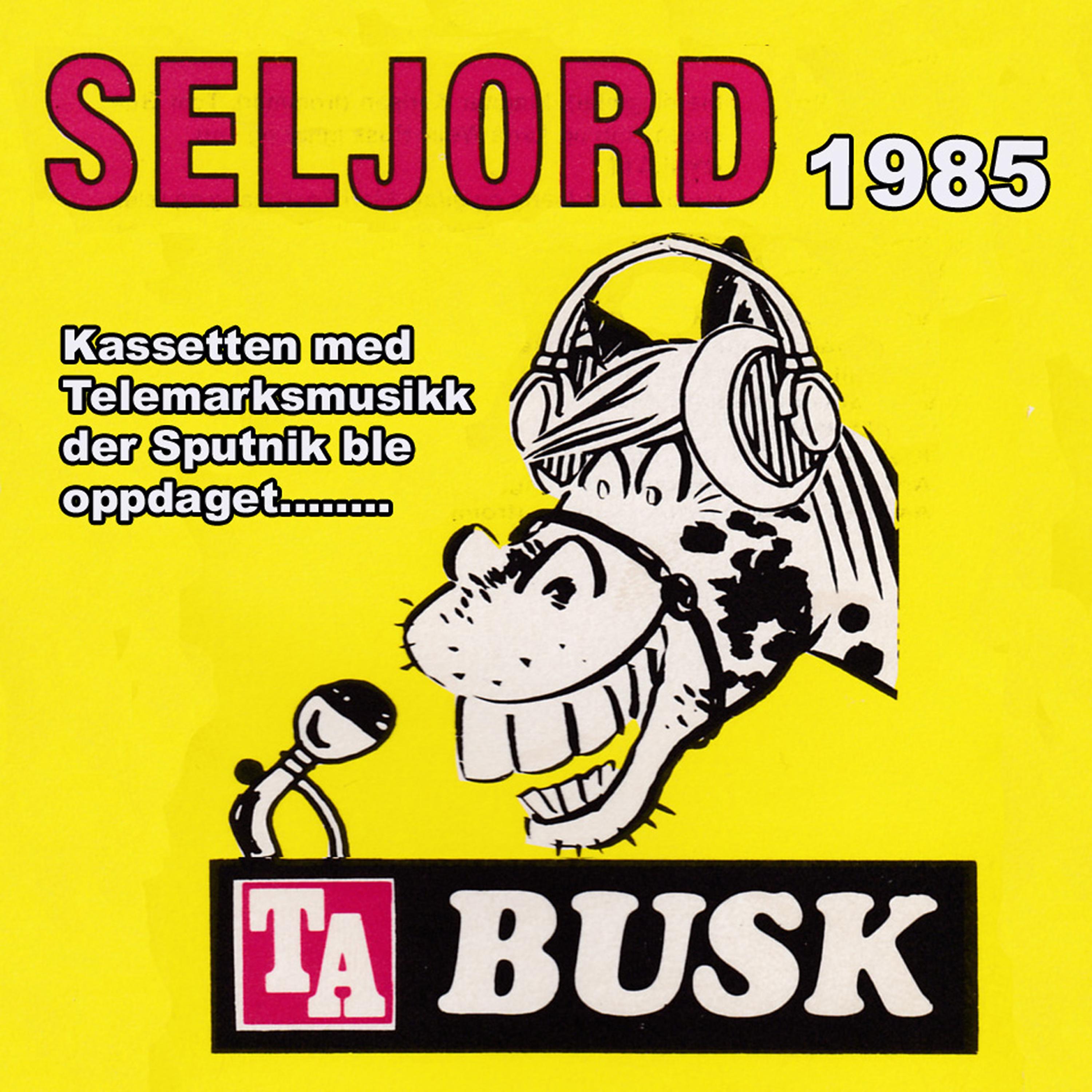 Постер альбома TA Busk Seljord 1985