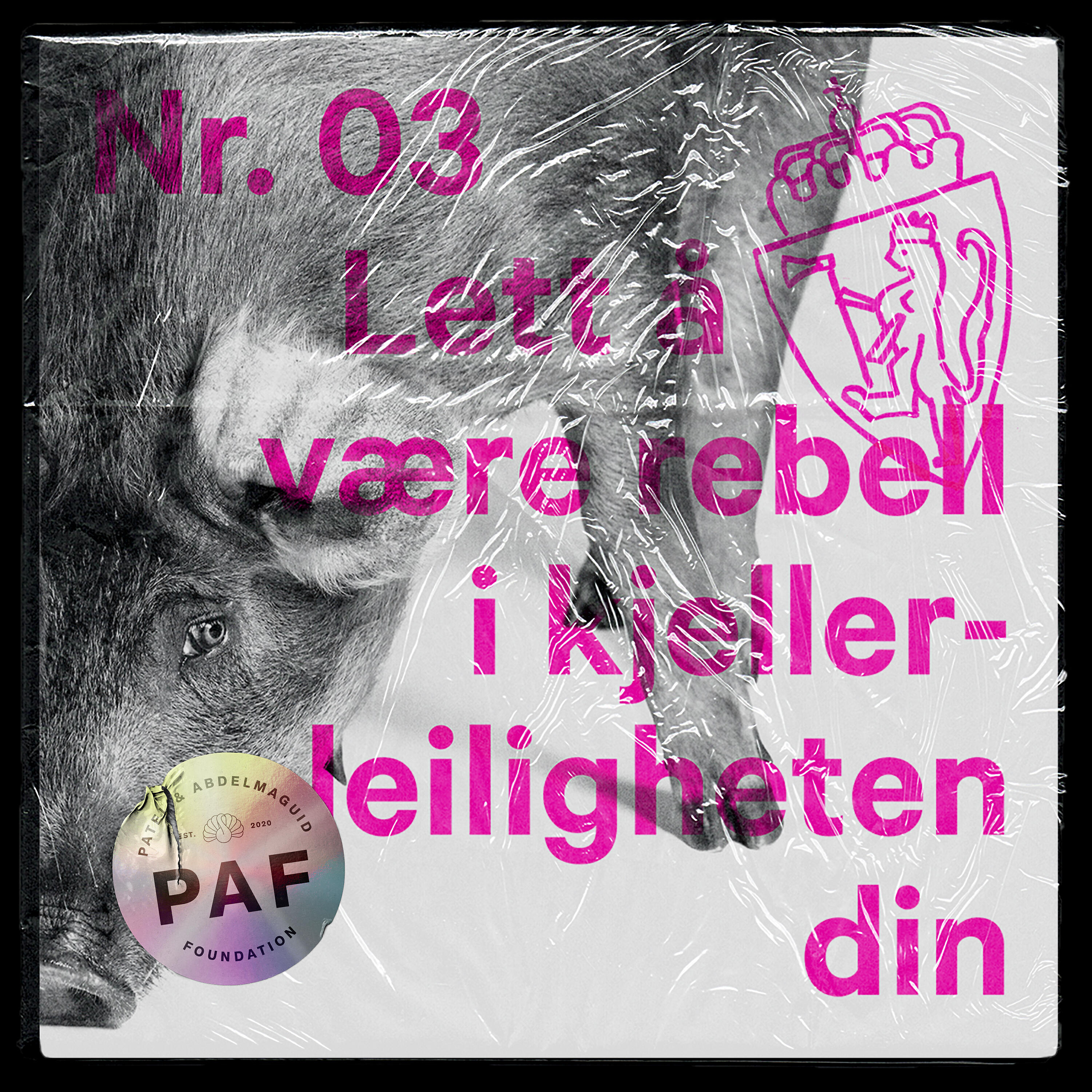 Karpe - Lett å være rebell i kjellerleiligheten din