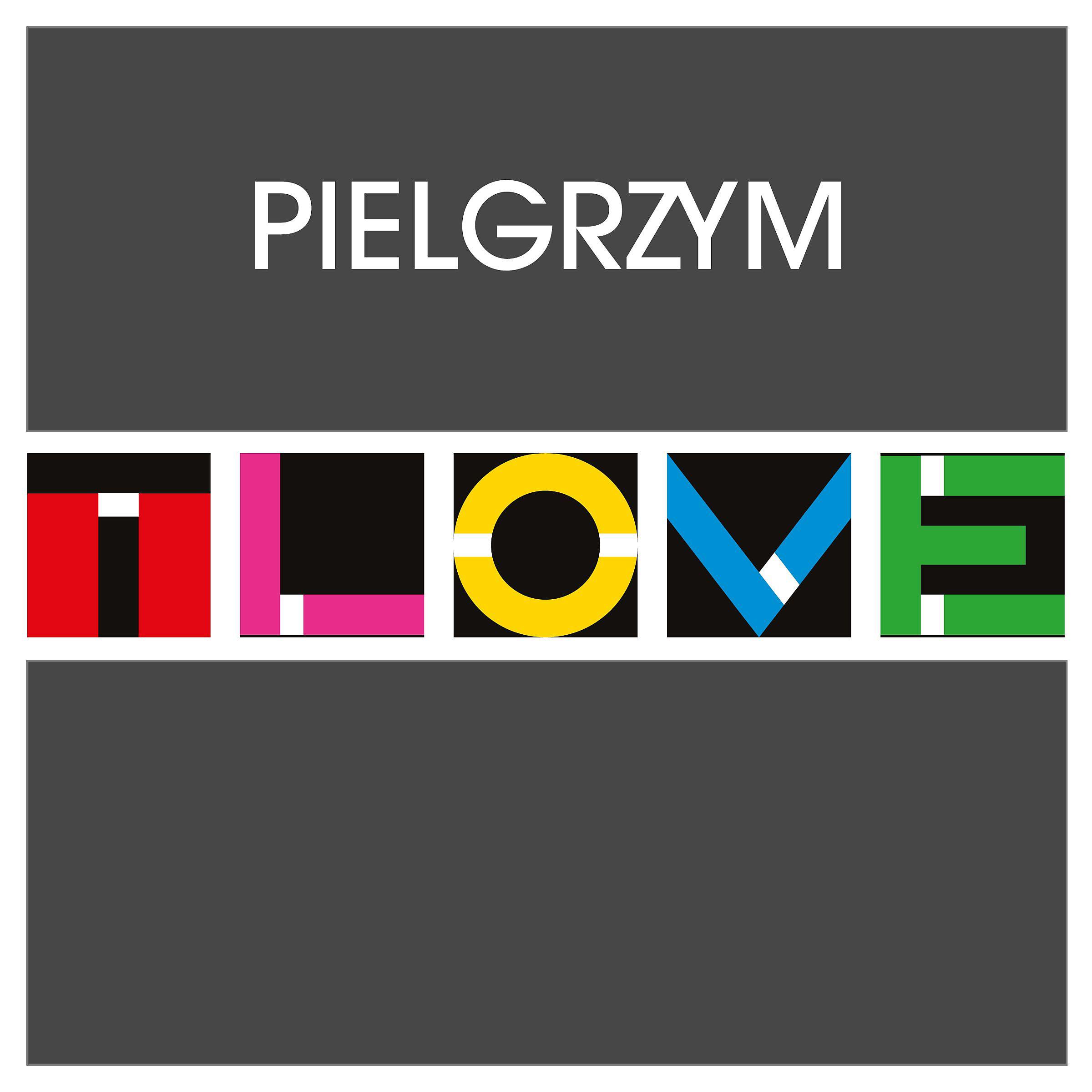 Постер альбома Pielgrzym (Radio Edit)
