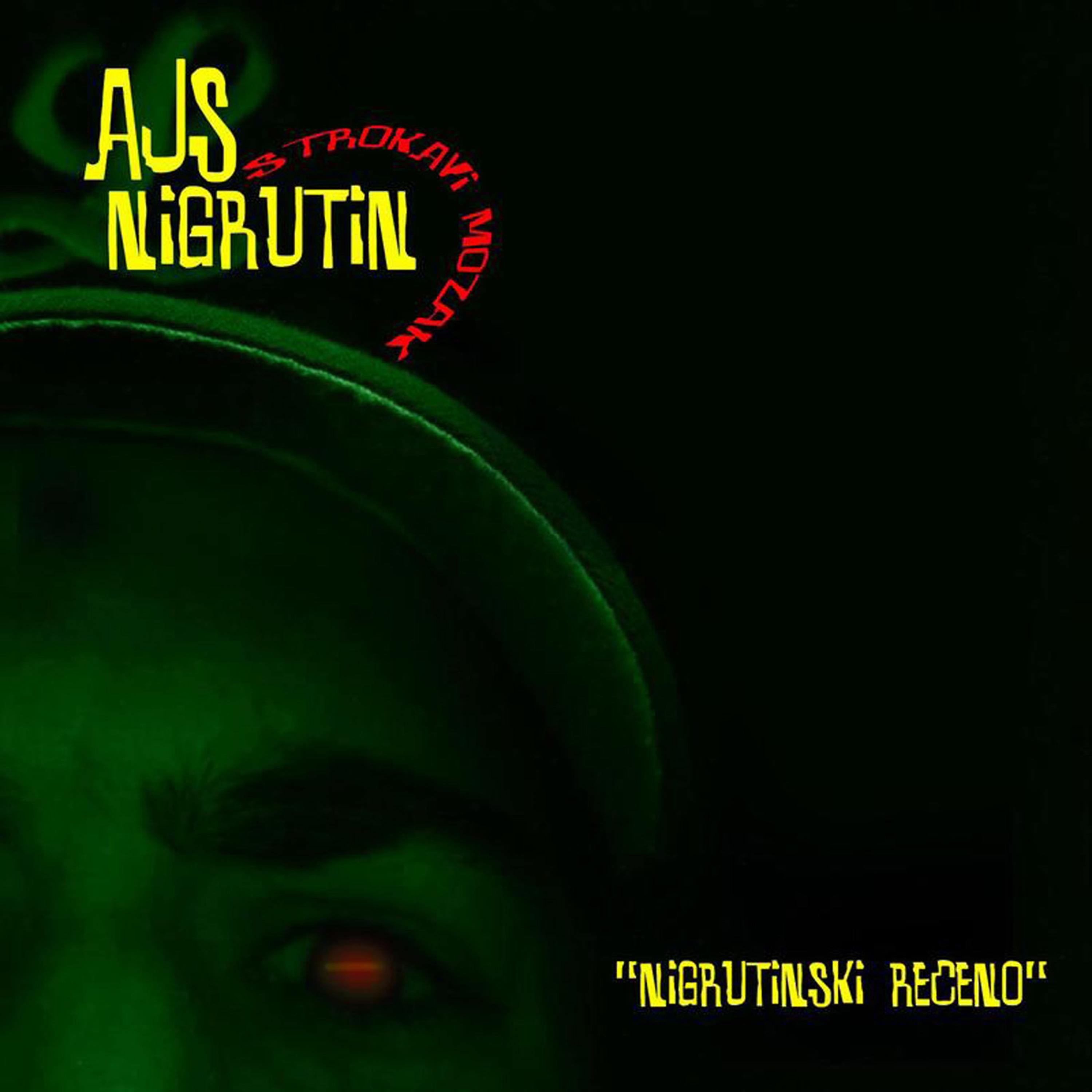 Постер альбома Nigrutinski Rečeno AKA Štrokavi Mozak