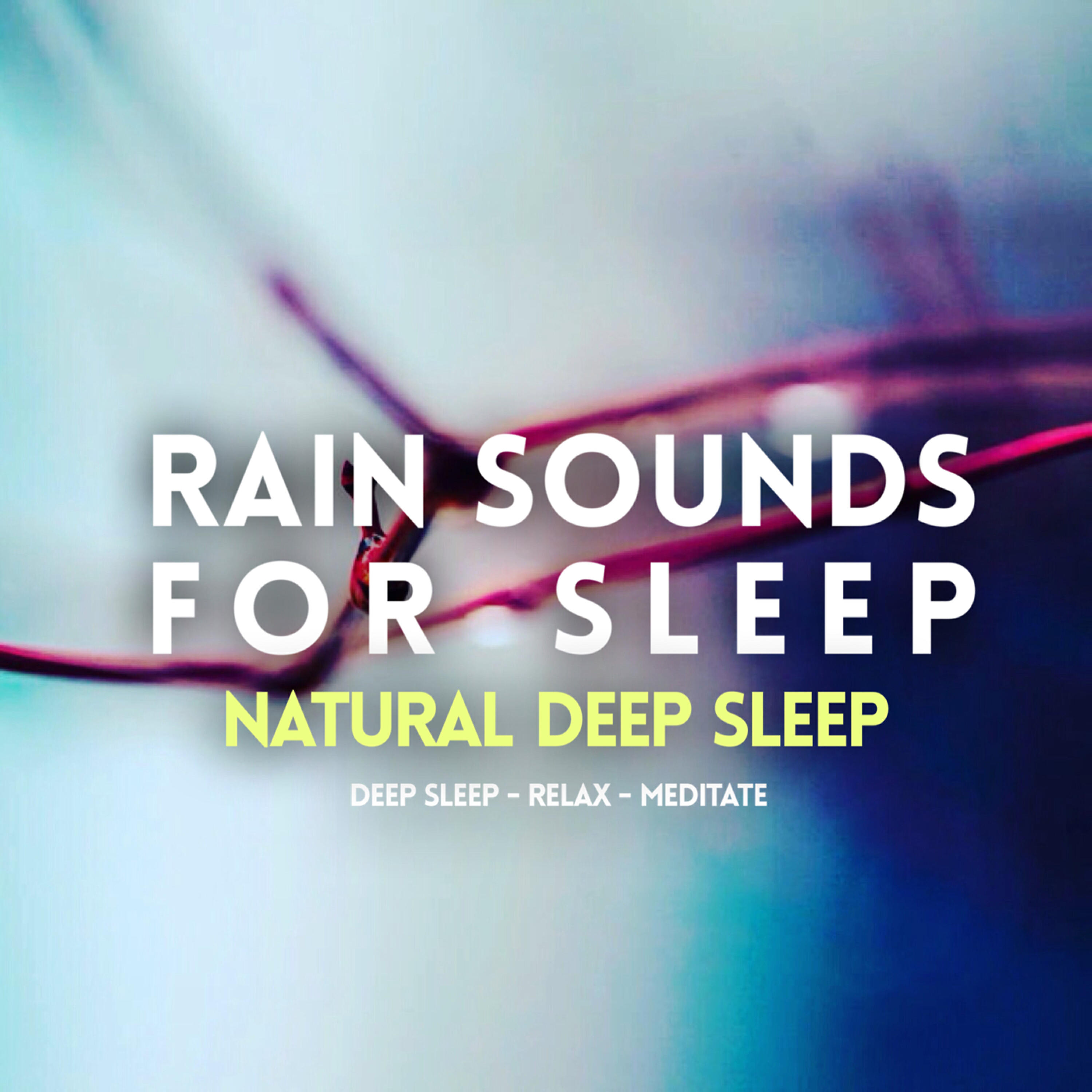 Natural Deep Sleep - Rain Sounds: Rain for Sleep