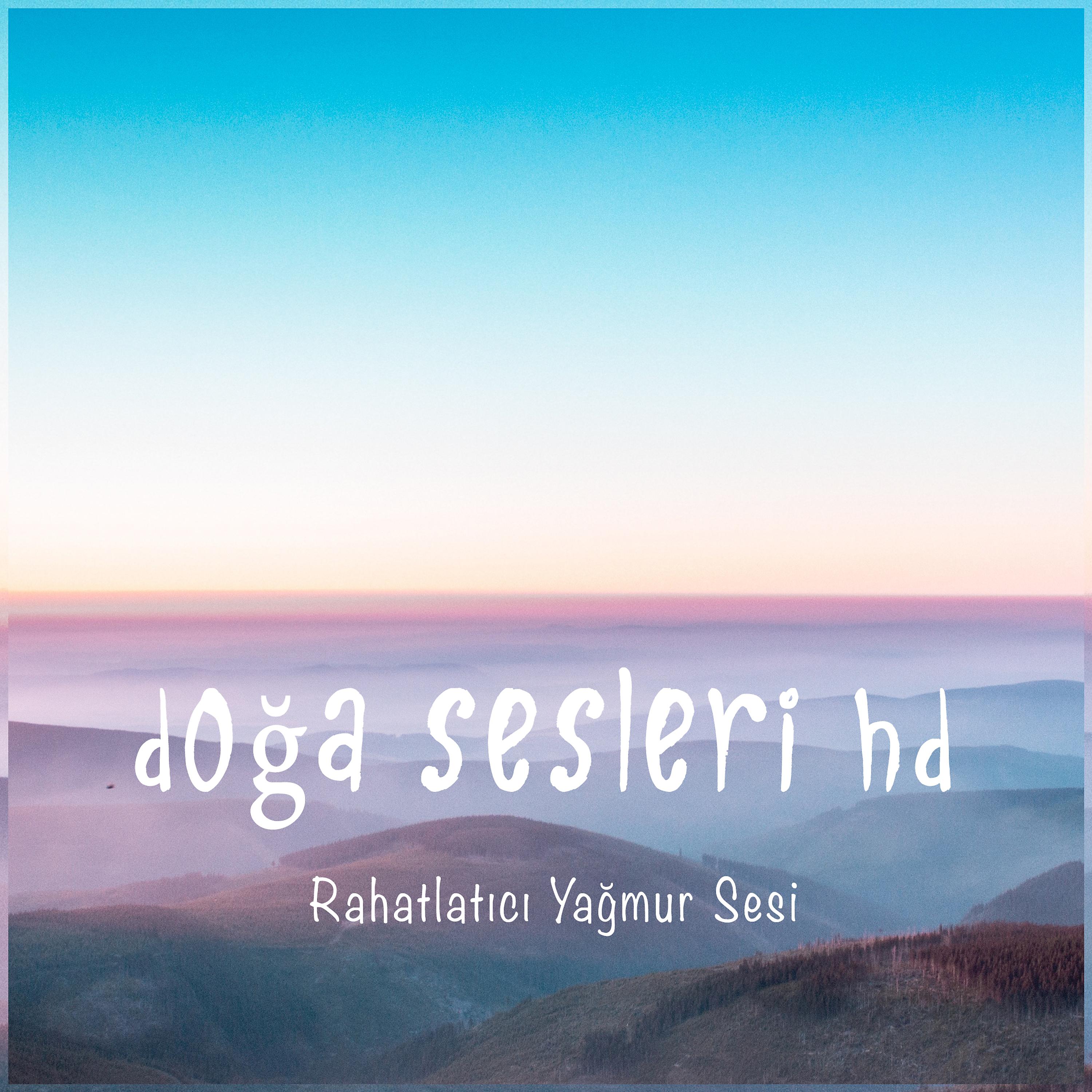 Постер альбома Doğa Sesleri - Rahatlatıcı Yağmur Sesi