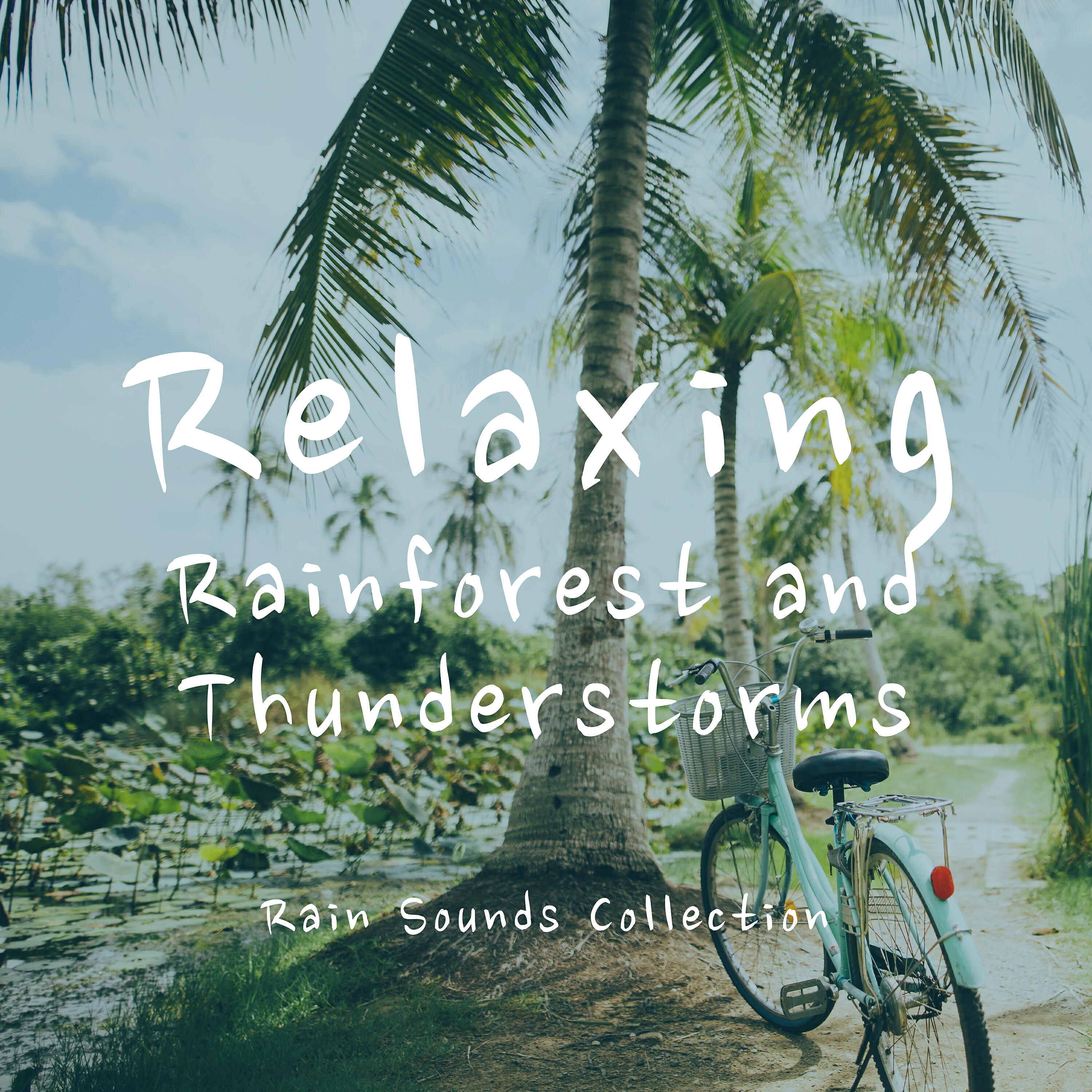 Rain Sounds Collection - Rainforest: Busy Jungle