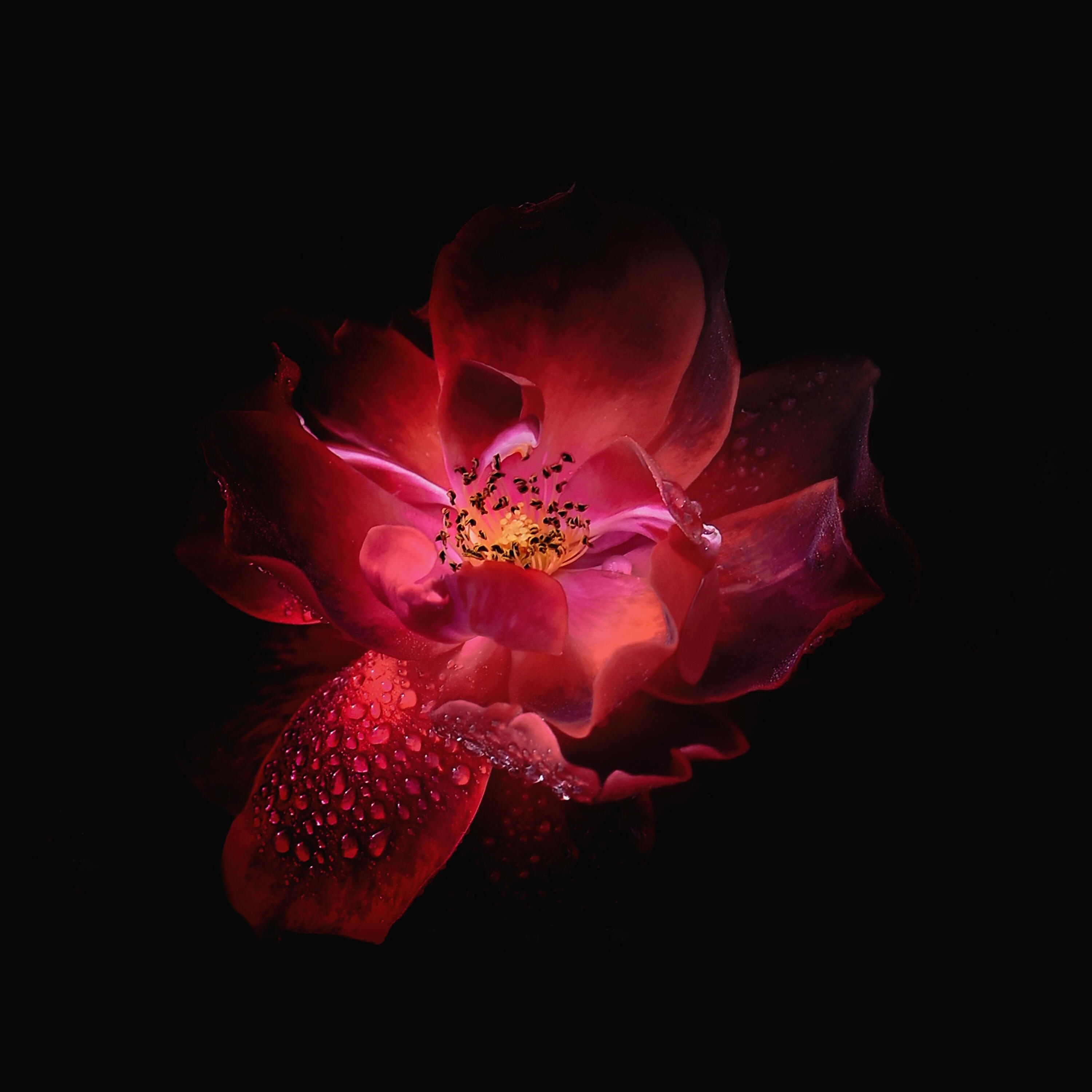 Binaural Beats Sleep Aid - Binaural Beats 8 Hz (Theta Waves)