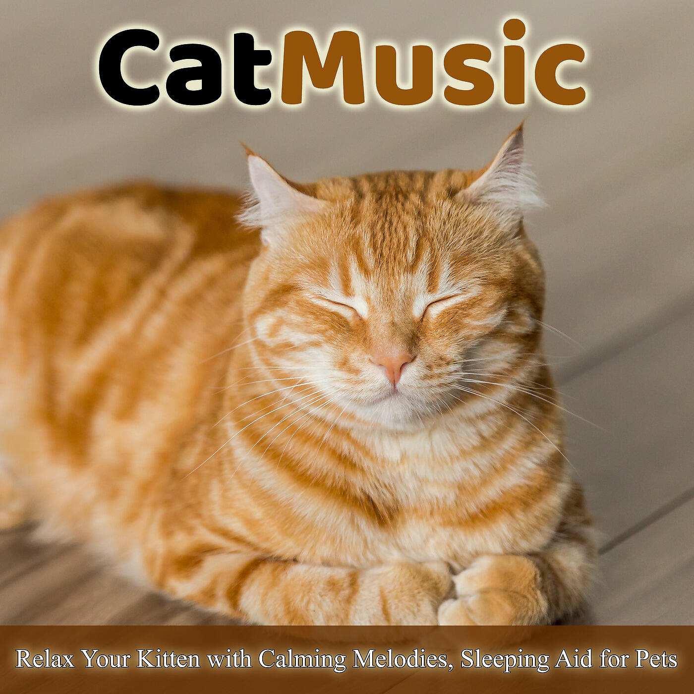 Cat Music Dreams - Calm Kitty Calm