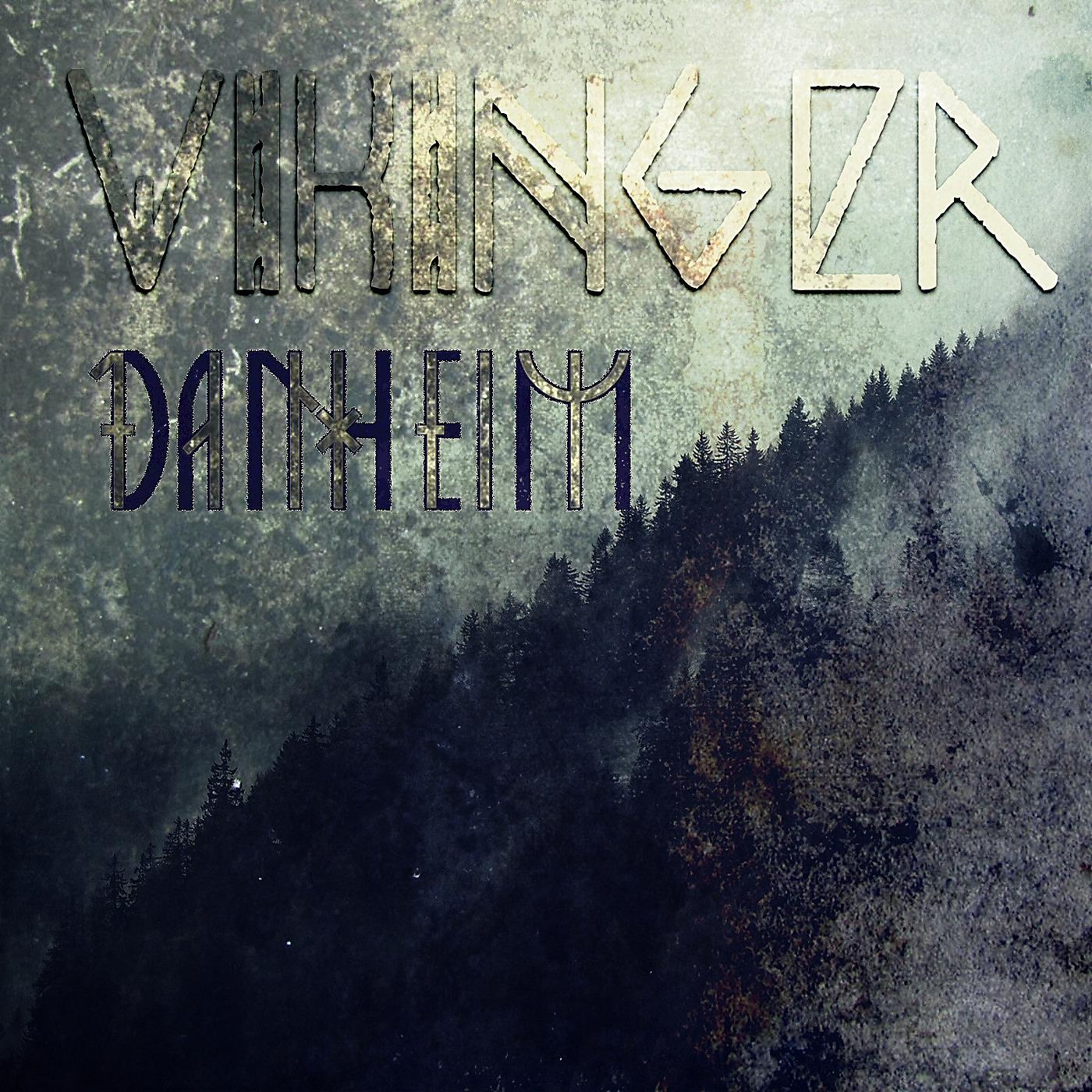 Постер альбома Vikinger