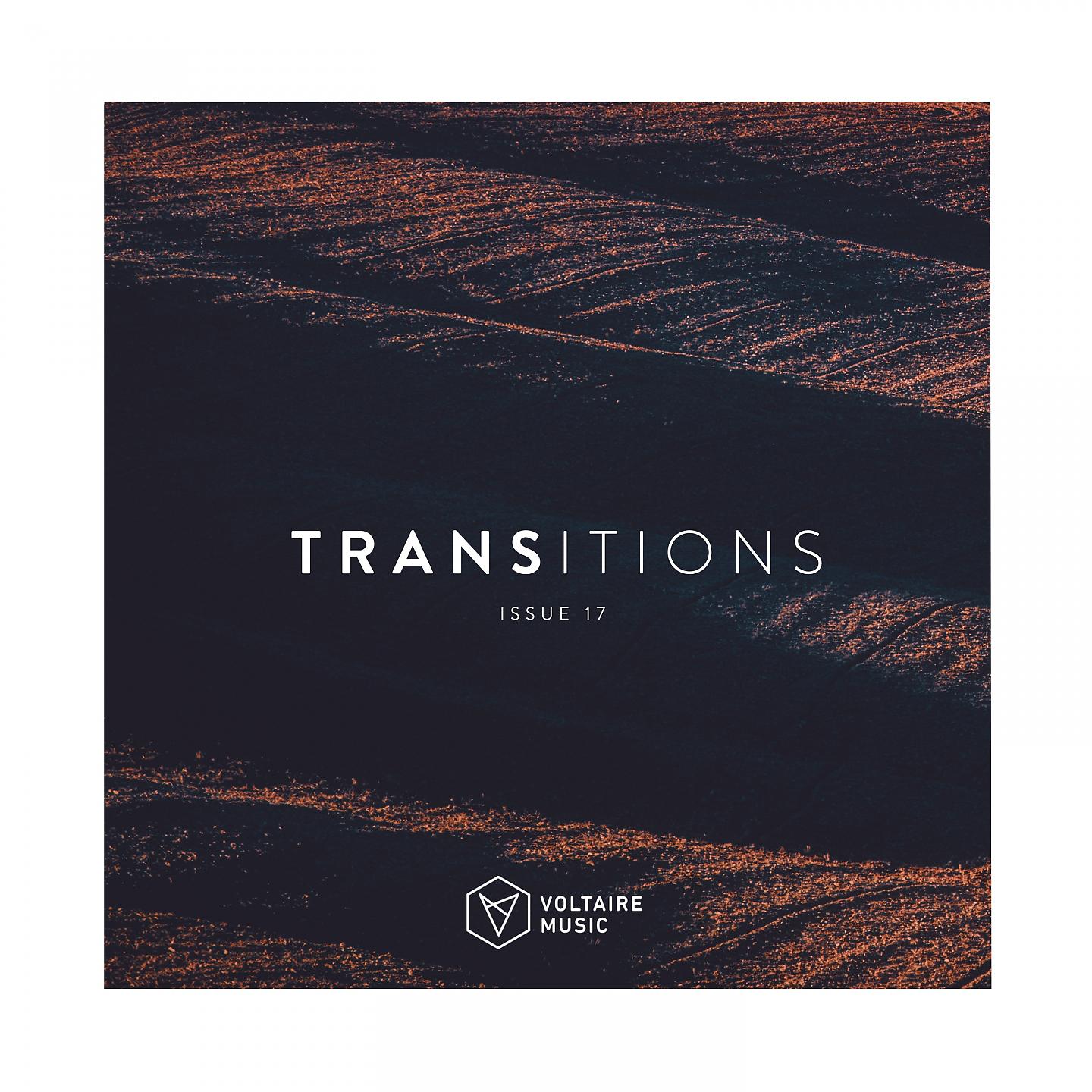 Постер альбома Transition Issue 17