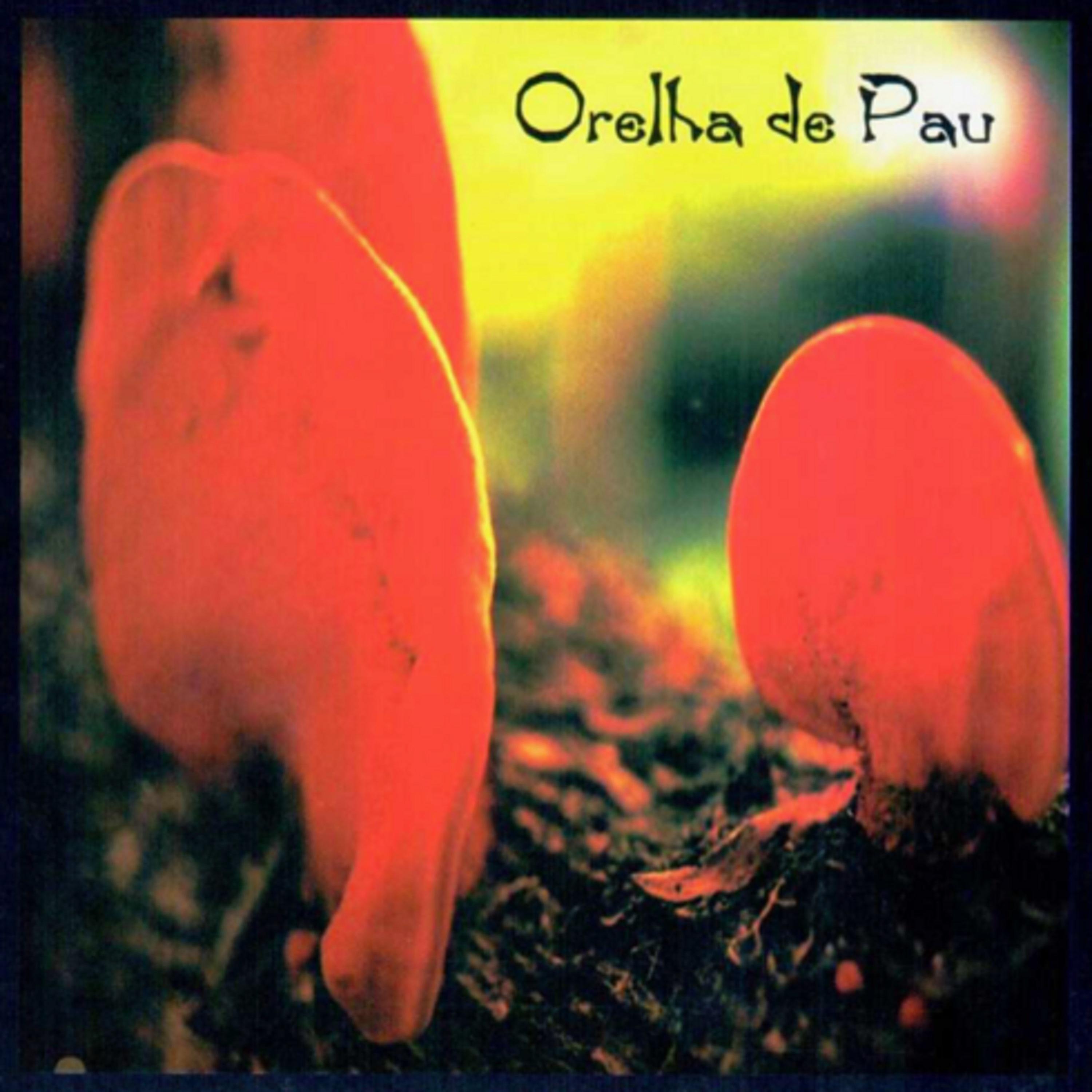 Постер альбома Orelha de Pau