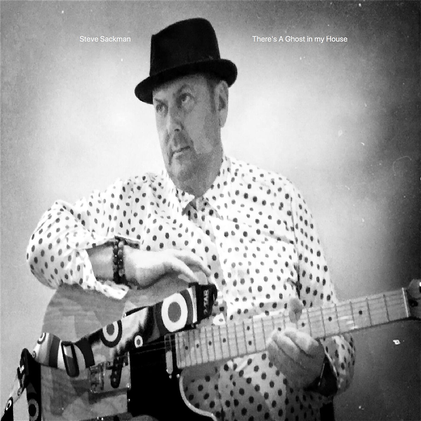 Steve Sackman - There's a Ghost in My House