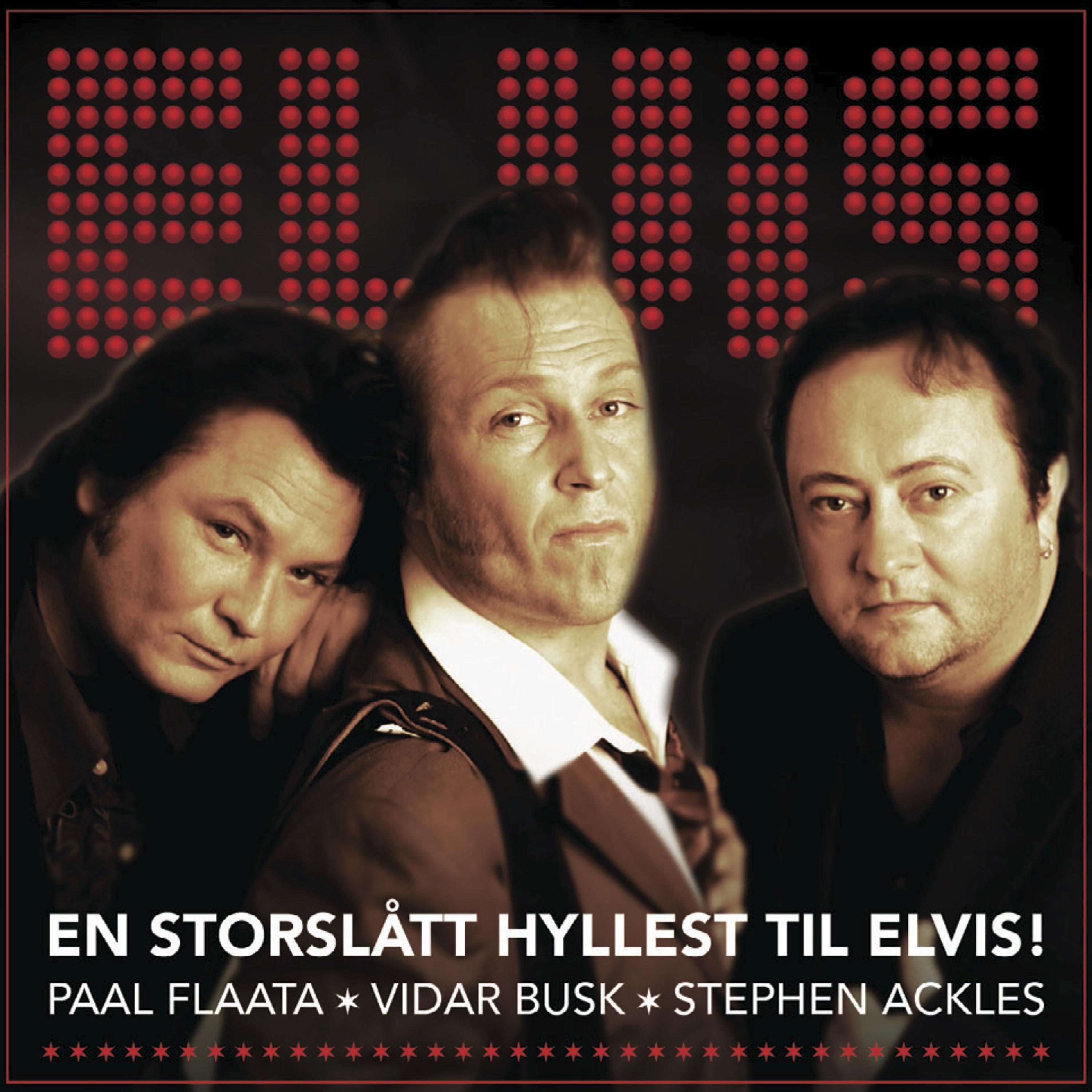 Постер альбома En Storslått Hyllest til Elvis