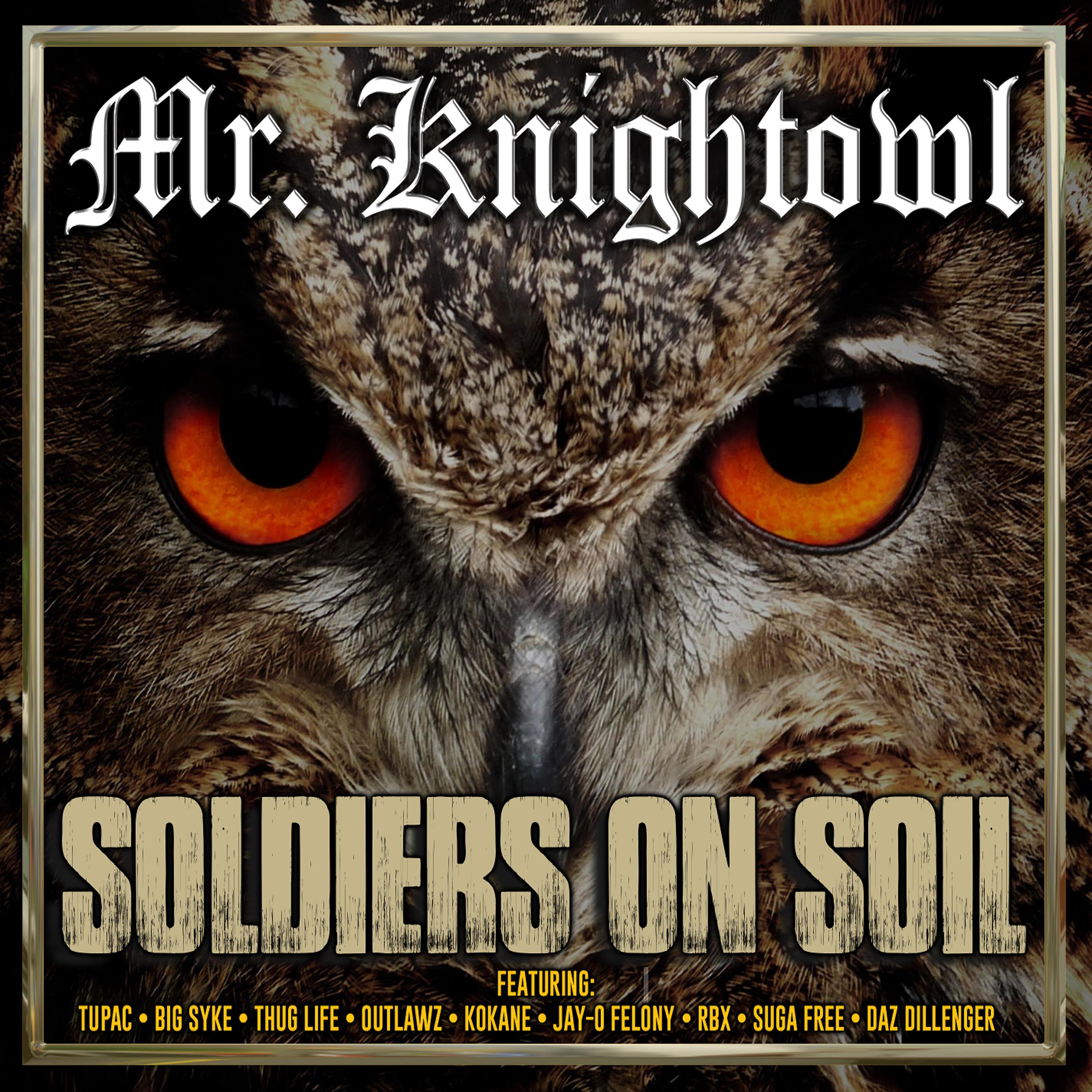 Постер альбома Soldiers on Soil
