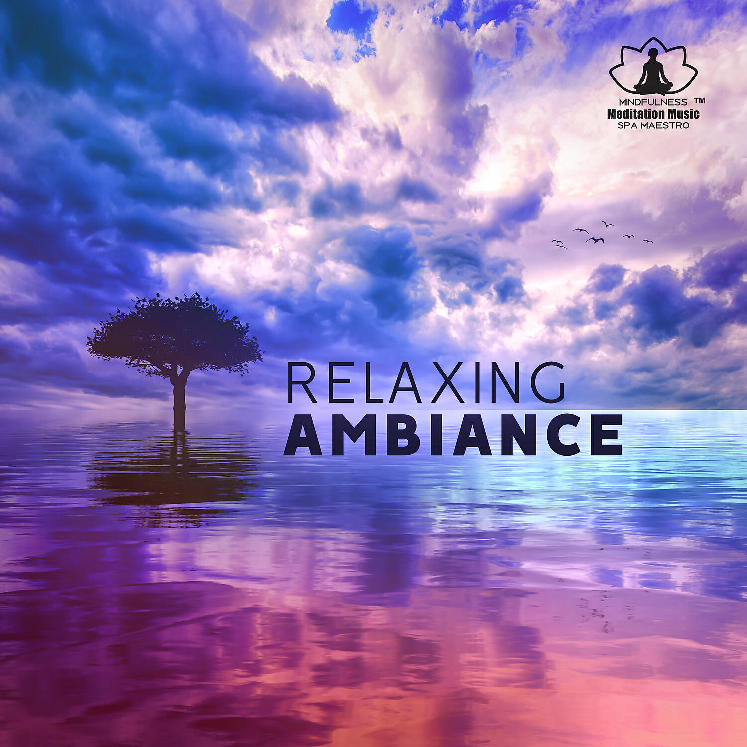 Mindfulness Meditation Music Spa Maestro - Meditations After Yoga