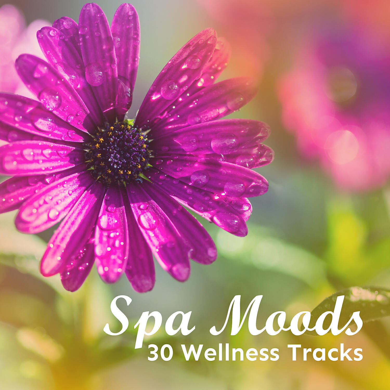 Spa Music Paradise - Sensual Massage & Aromatherapy