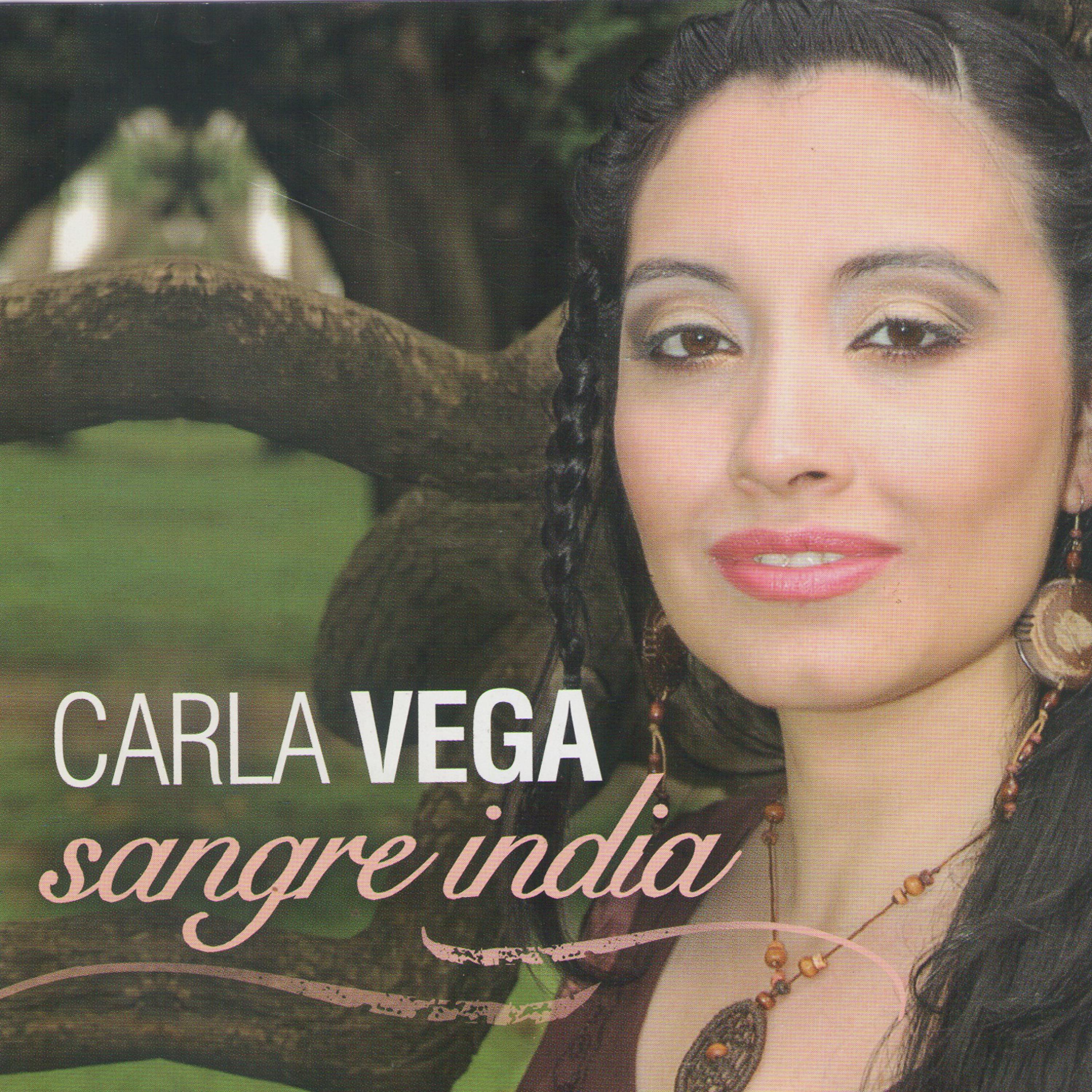 Постер альбома Sangre India
