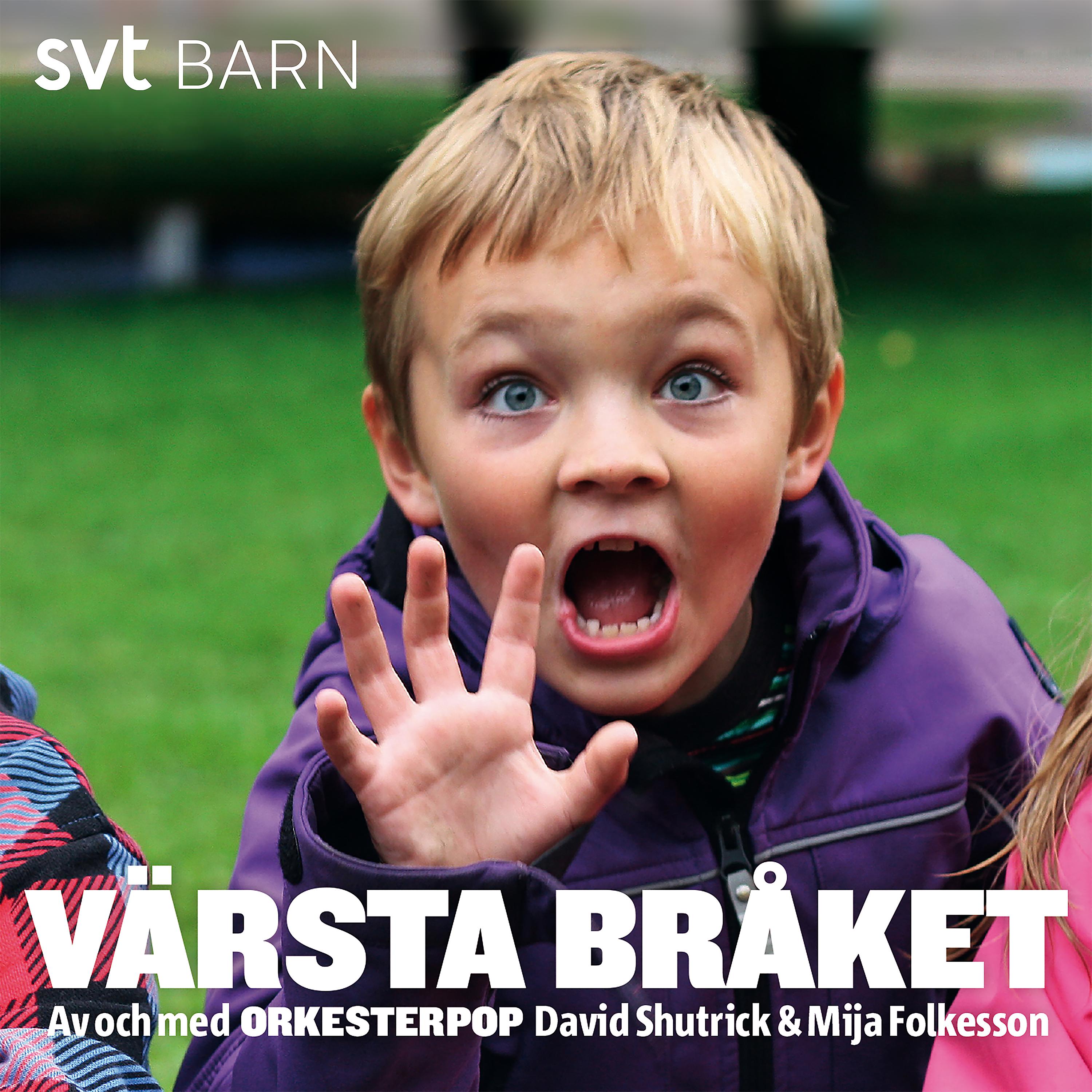 Постер альбома Värsta bråket