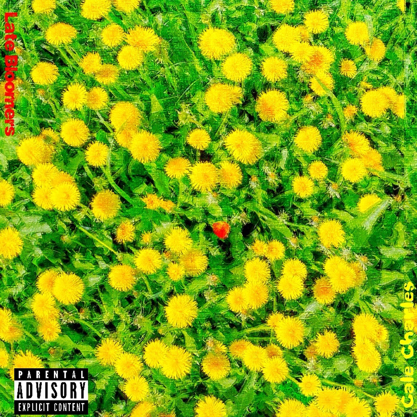 Cale Charles - Sames