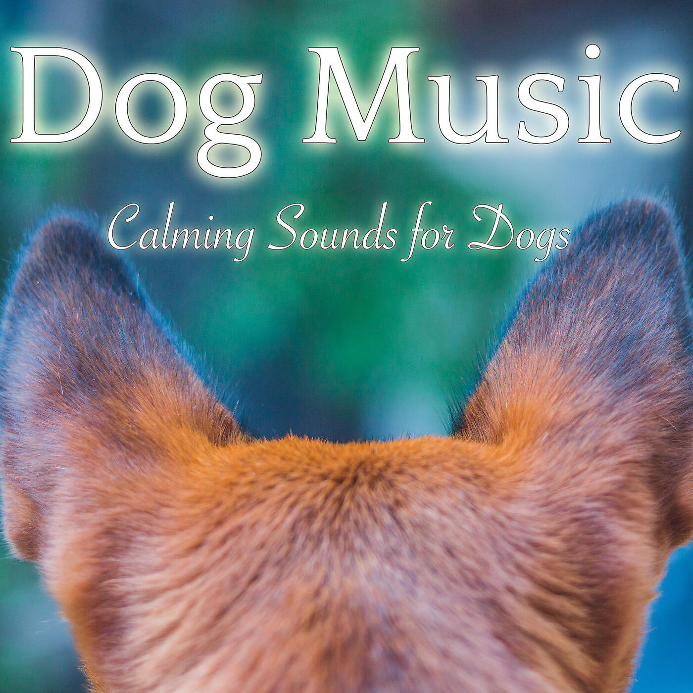 Dog Music Dreams - Relaxing Dog Therapy