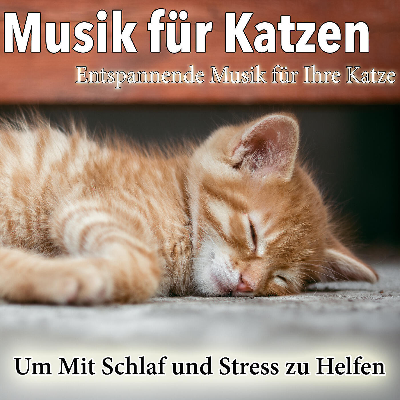 Cat Music Dreams - Ambient Sußes Geräusche