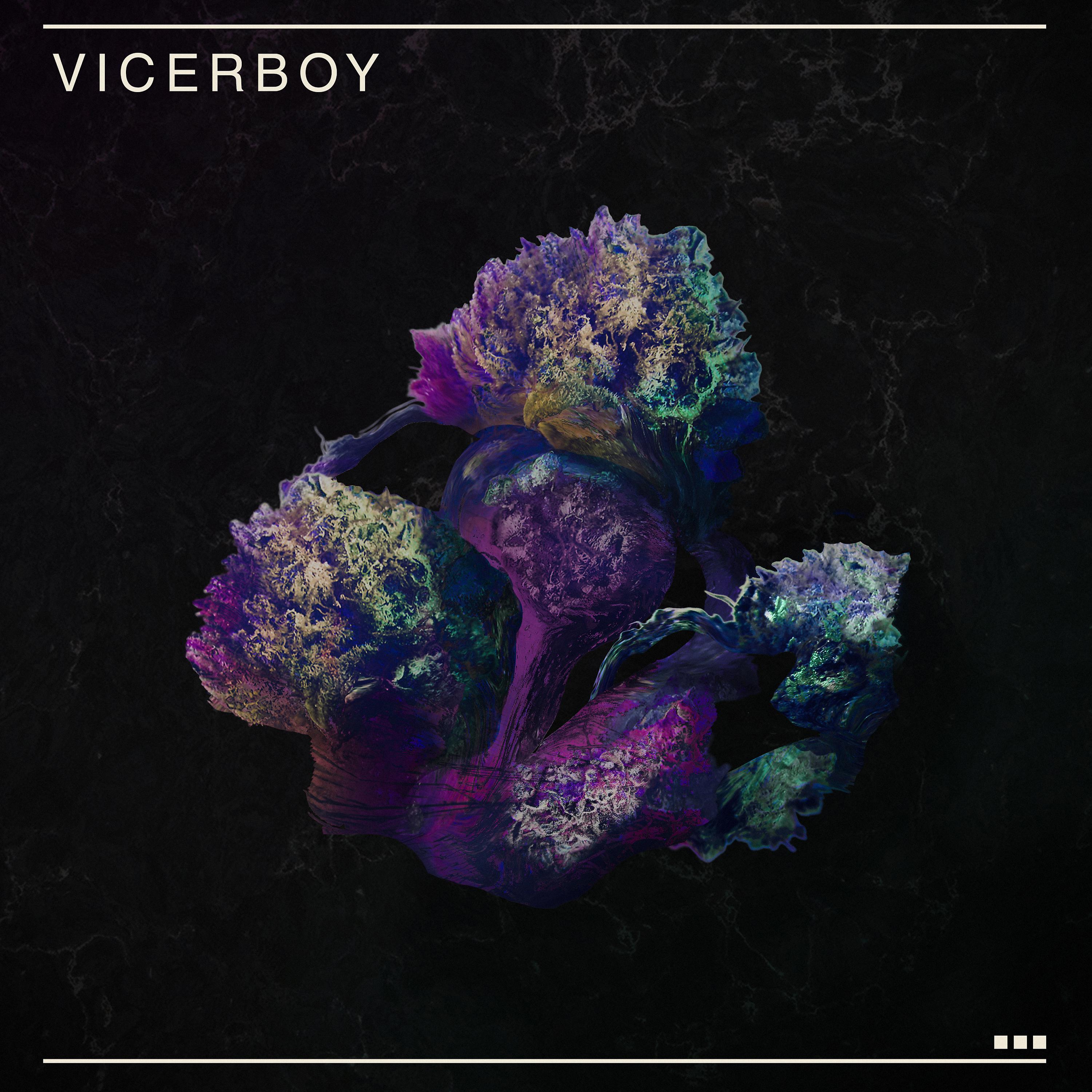 Постер альбома Vicerboy