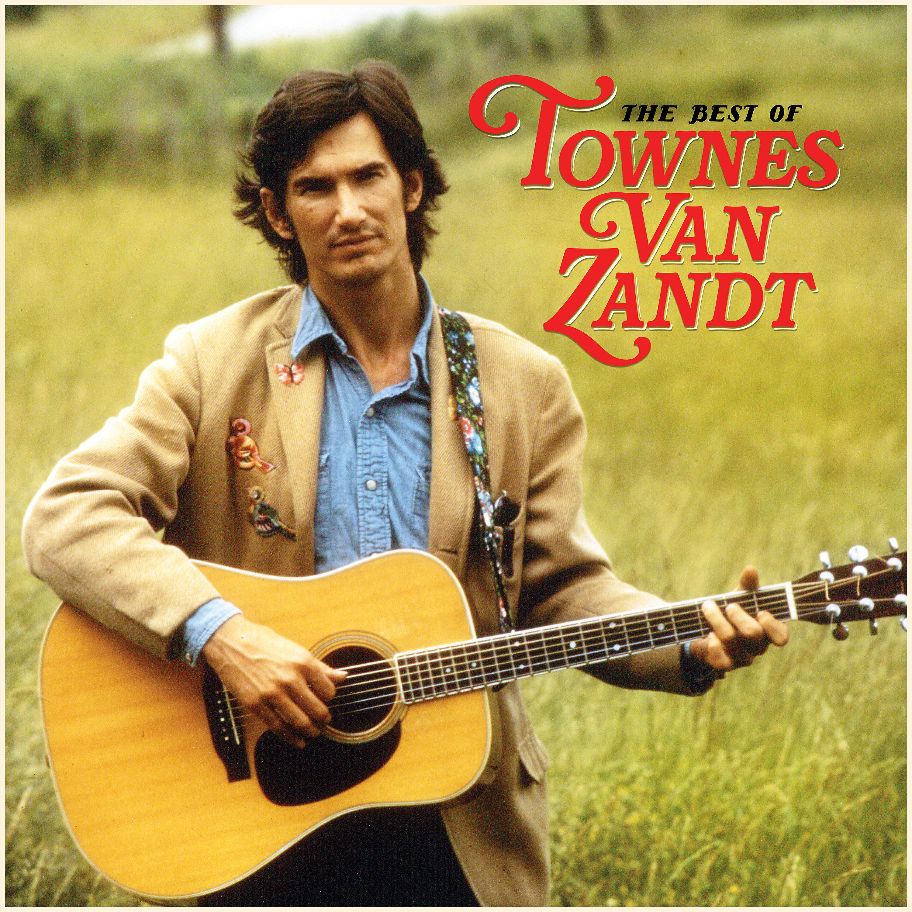 Townes Van Zandt - Black Widow Blues