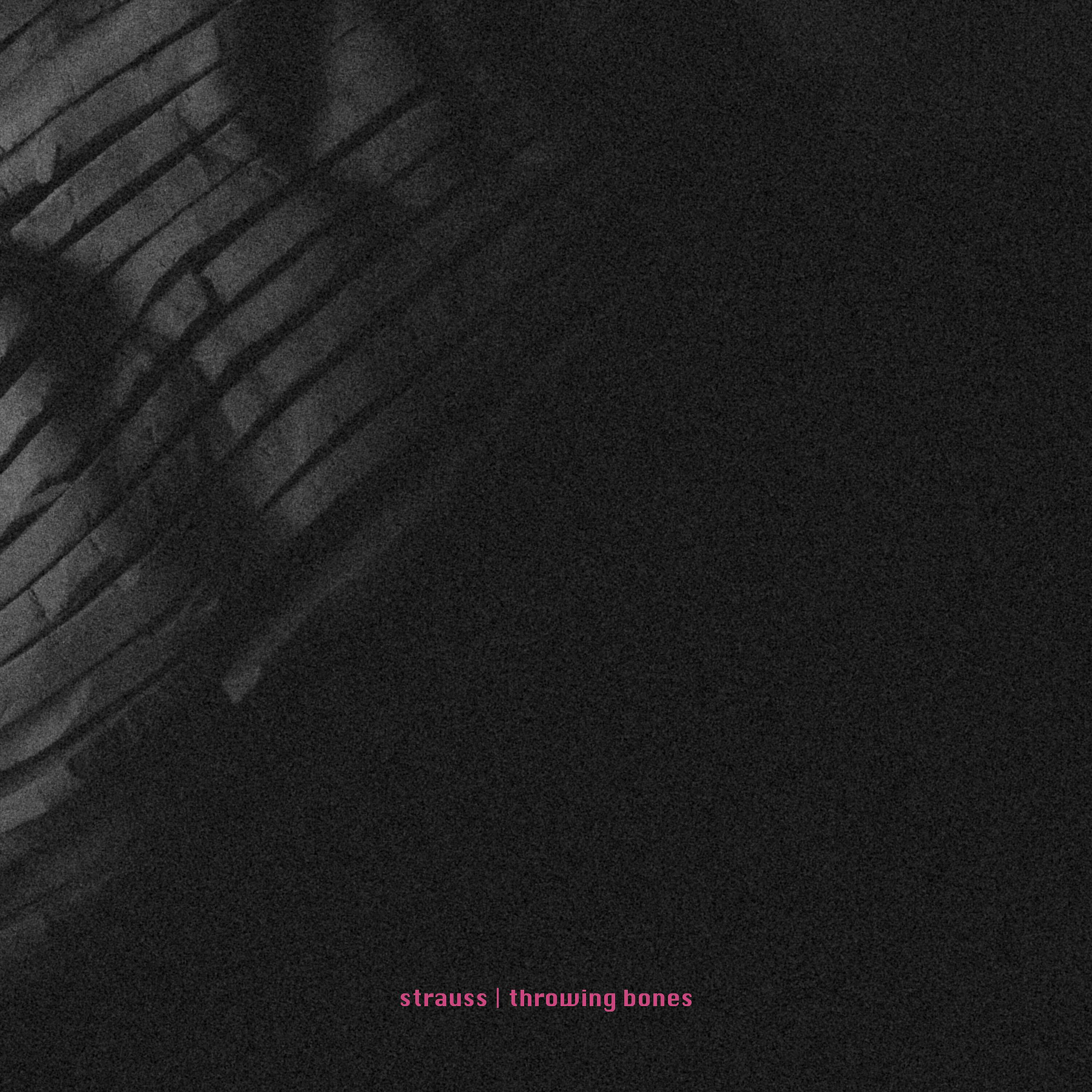 Strauss - Throwing Bones