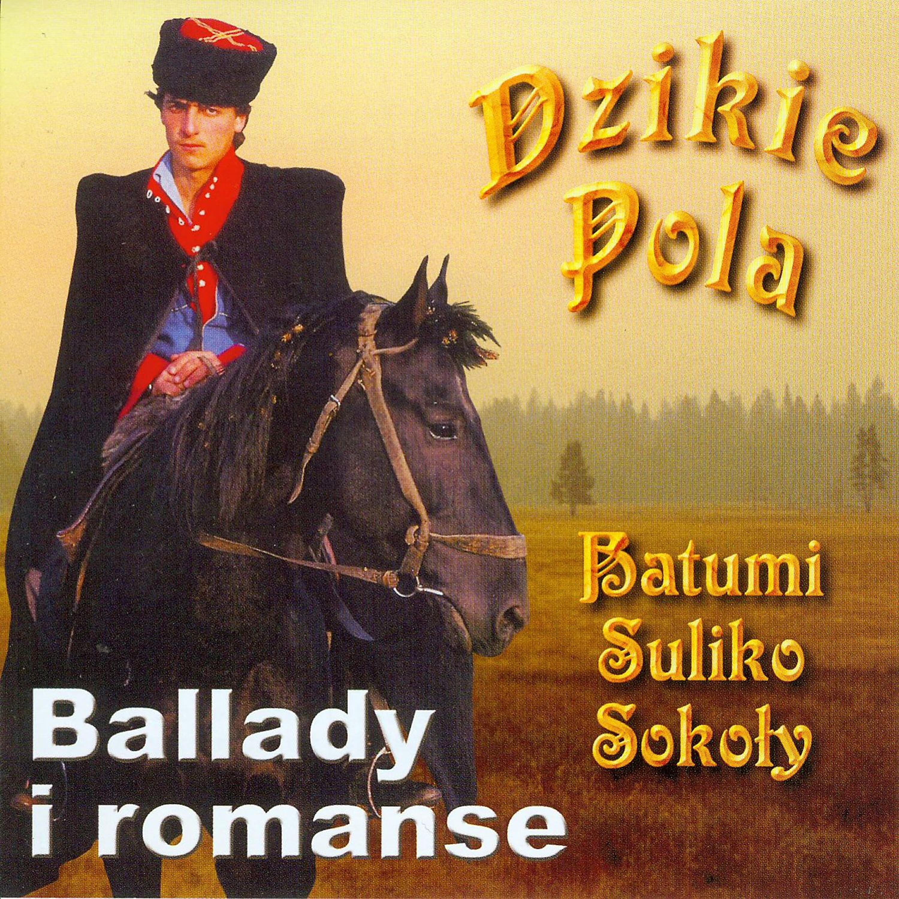 Dzikie Pola - Suliko