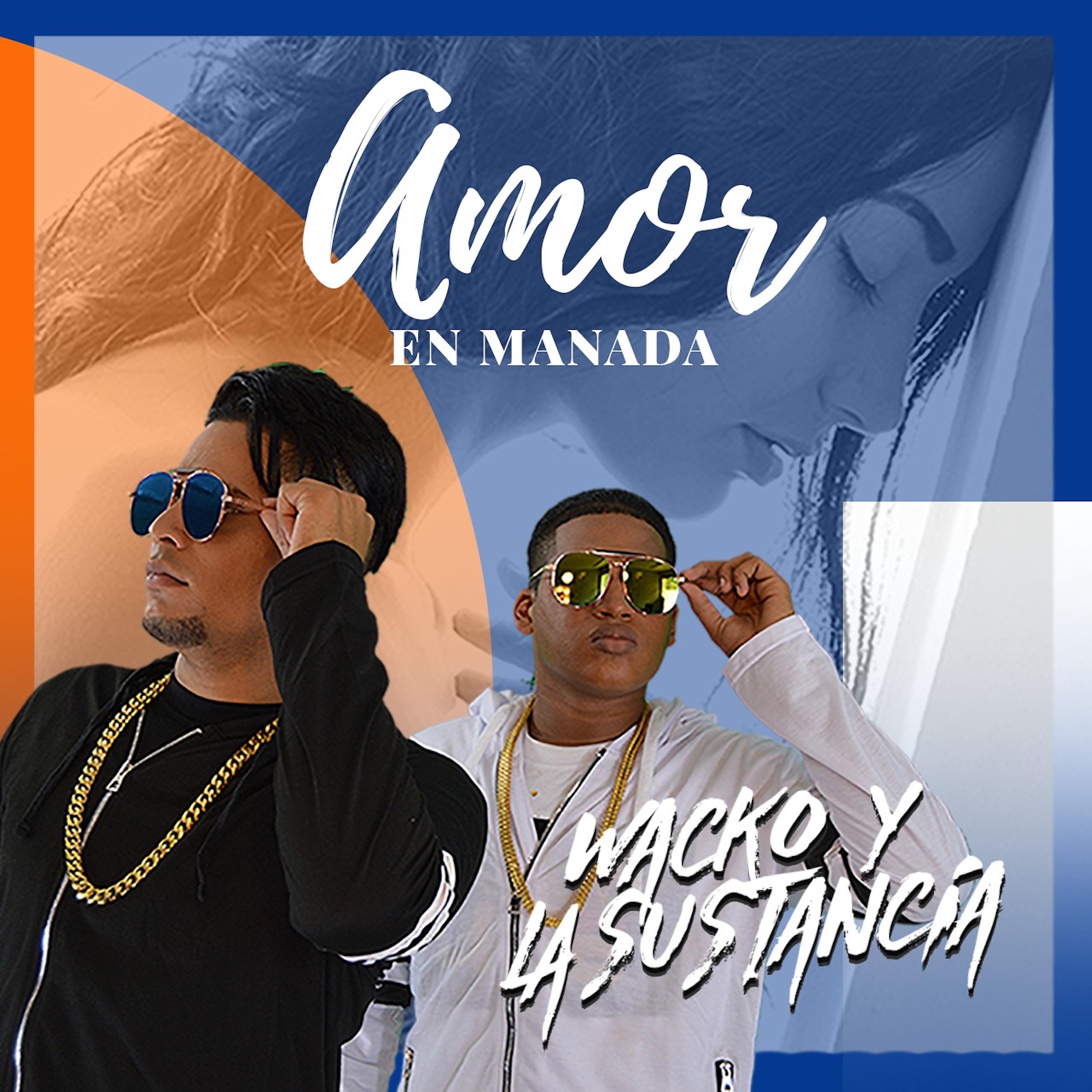 Постер альбома Amor en Manada