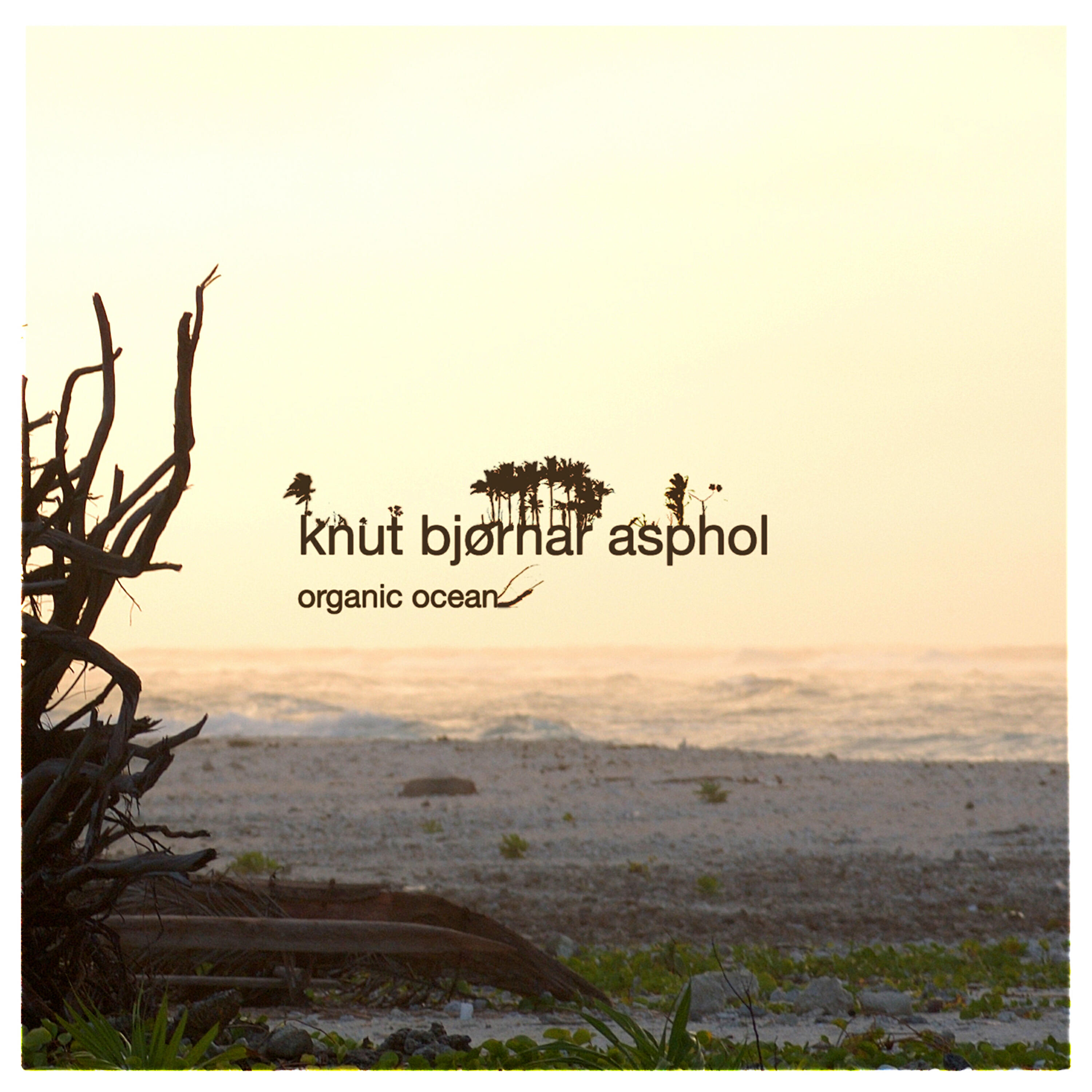 Knut Bjørnar Asphol - The Sorrow Theme