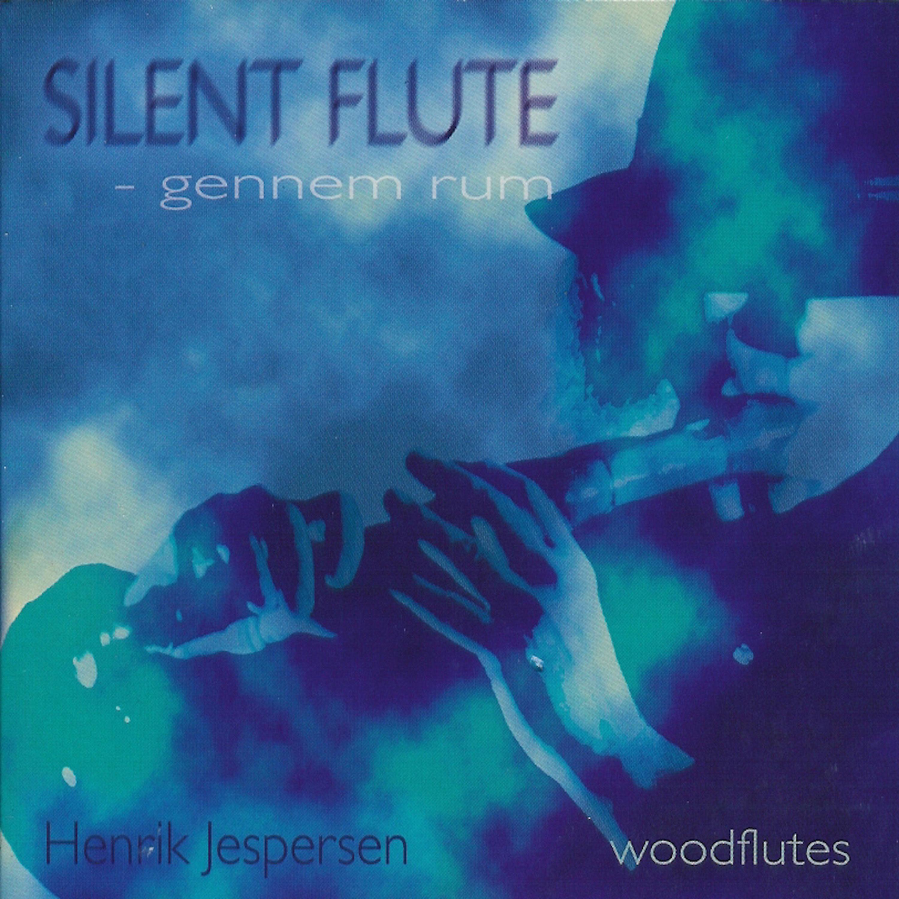 Постер альбома Silent Flute - Gennem Rum