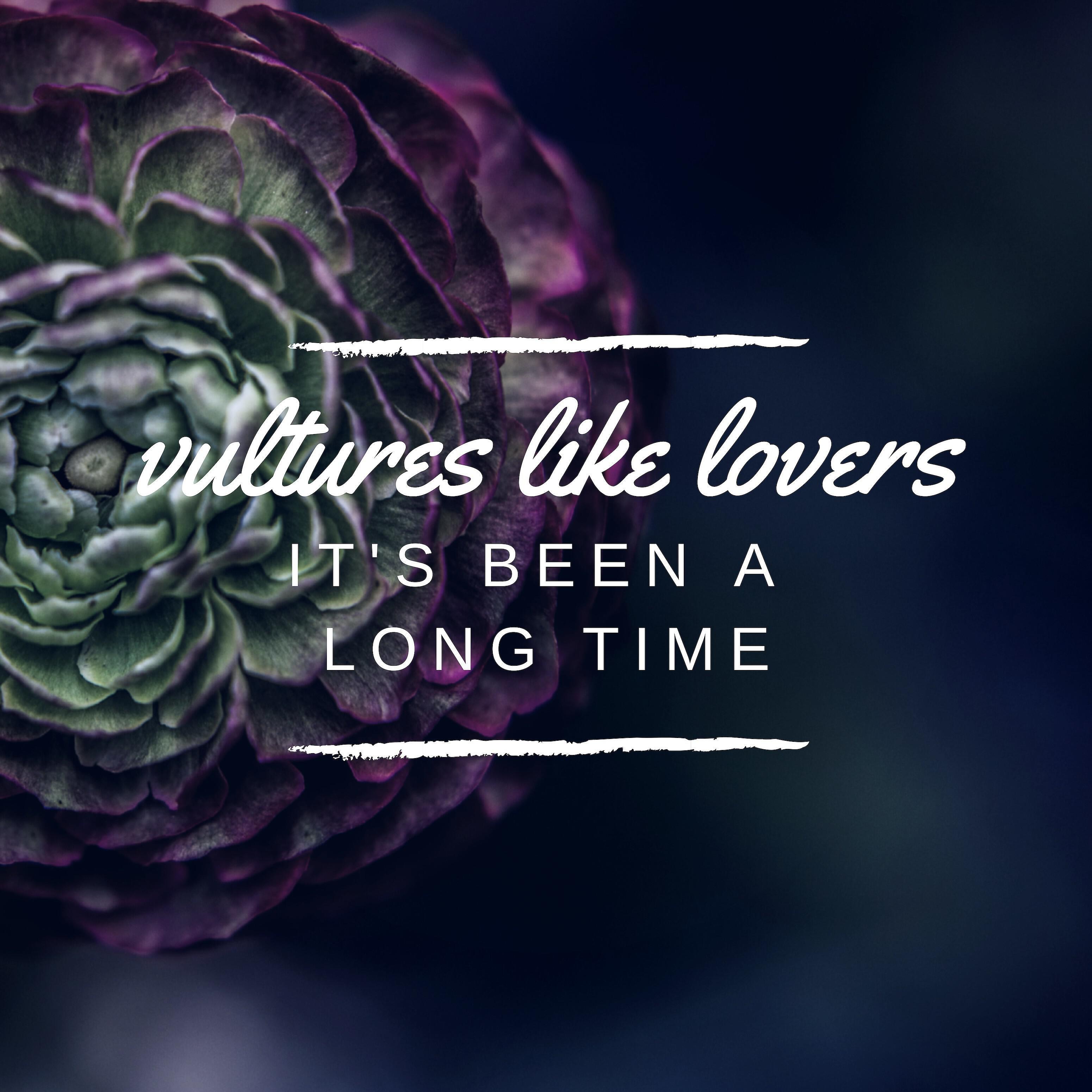 Vultures Like Lovers - It's Been a Long Time