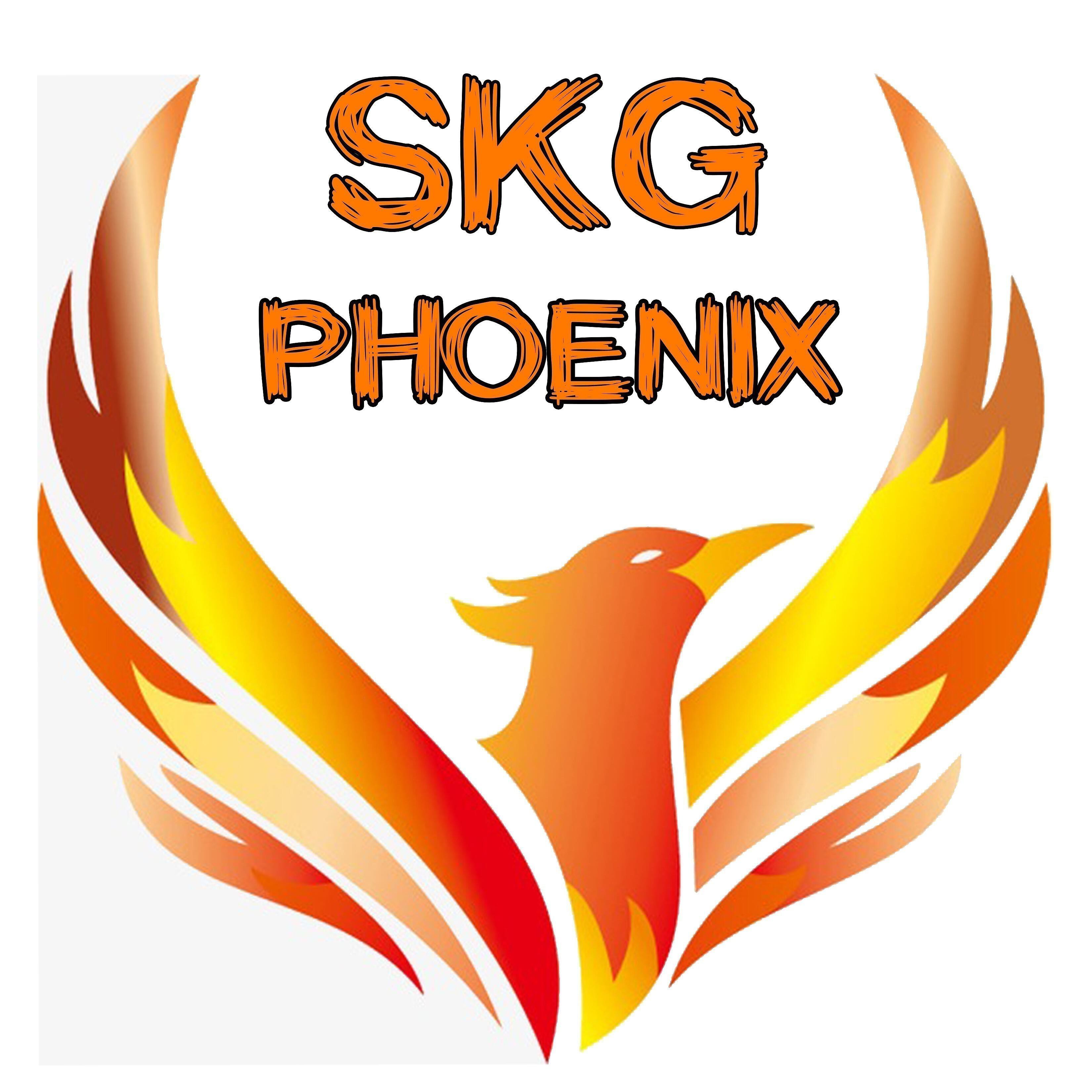 Постер альбома Phoenix