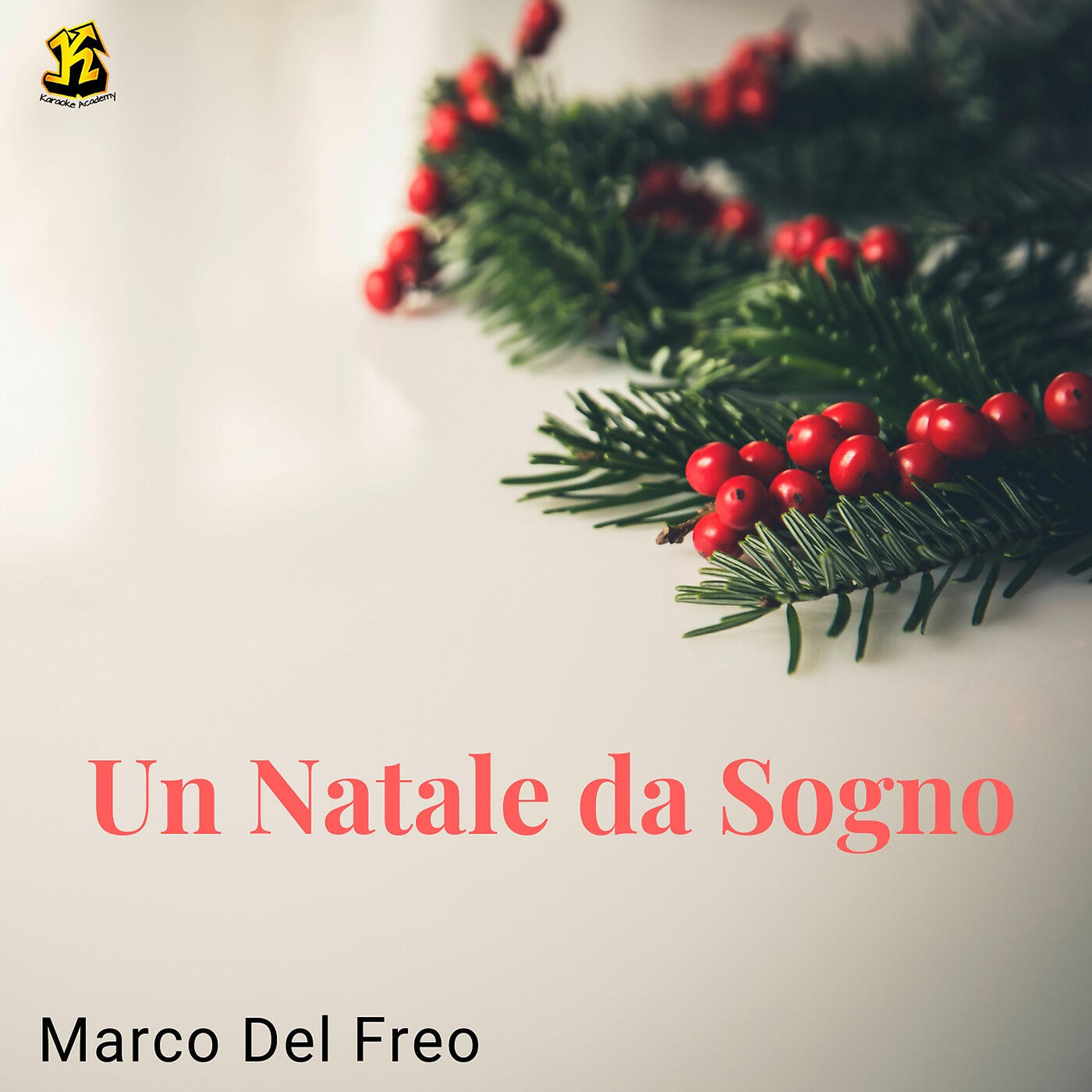 Marco Del Freo - un Natale da sogno