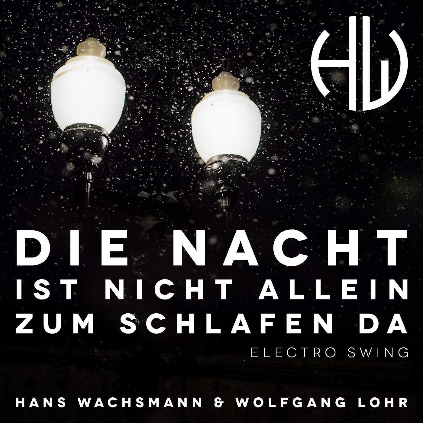 Постер альбома Die Nacht Ist Nicht Allein Zum Schlafen da (Electro Swing)