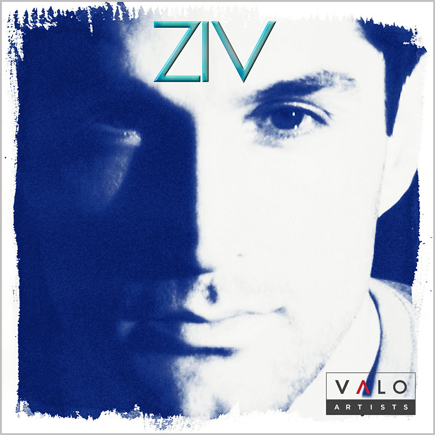 ZIV - Inspire
