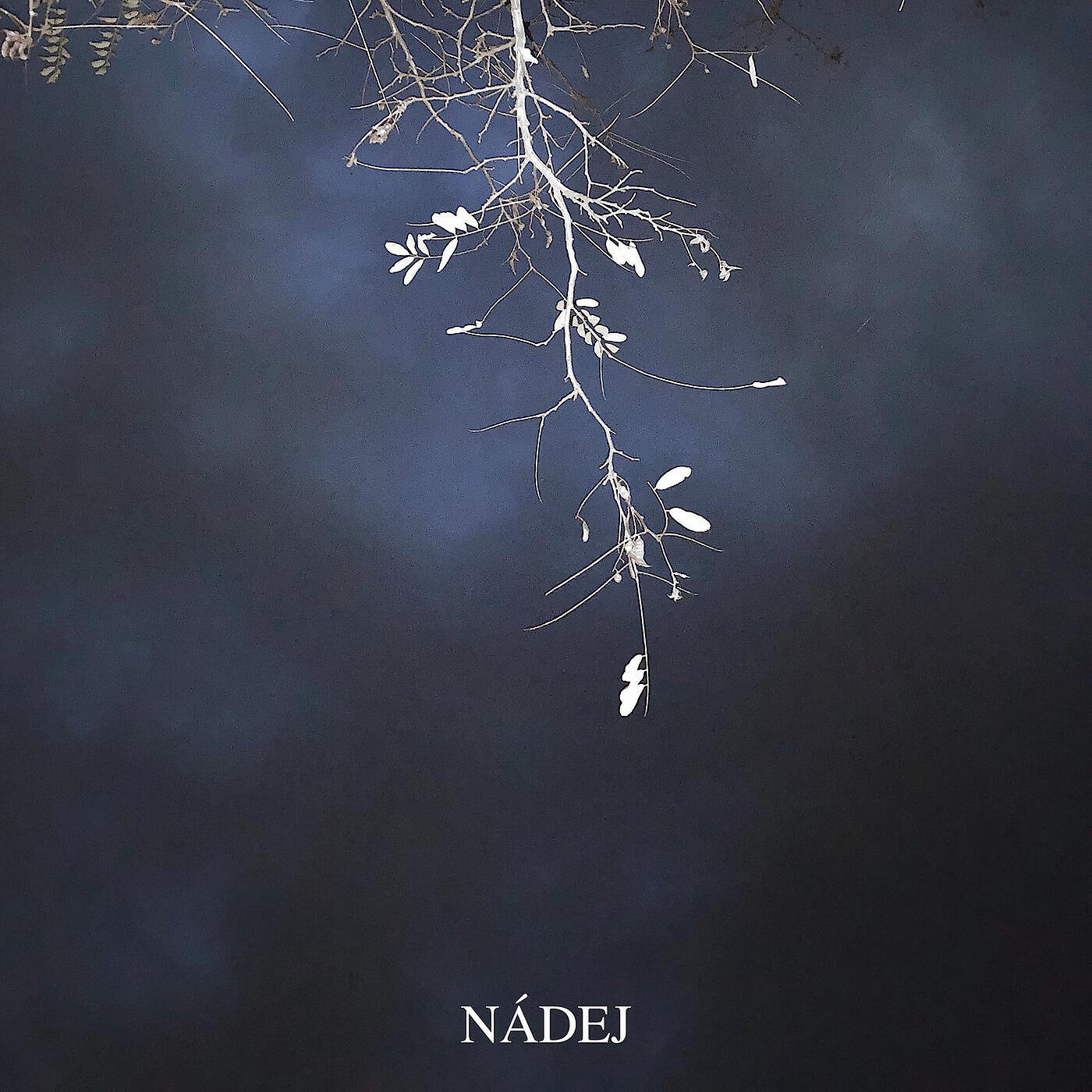 Samey - Nadej