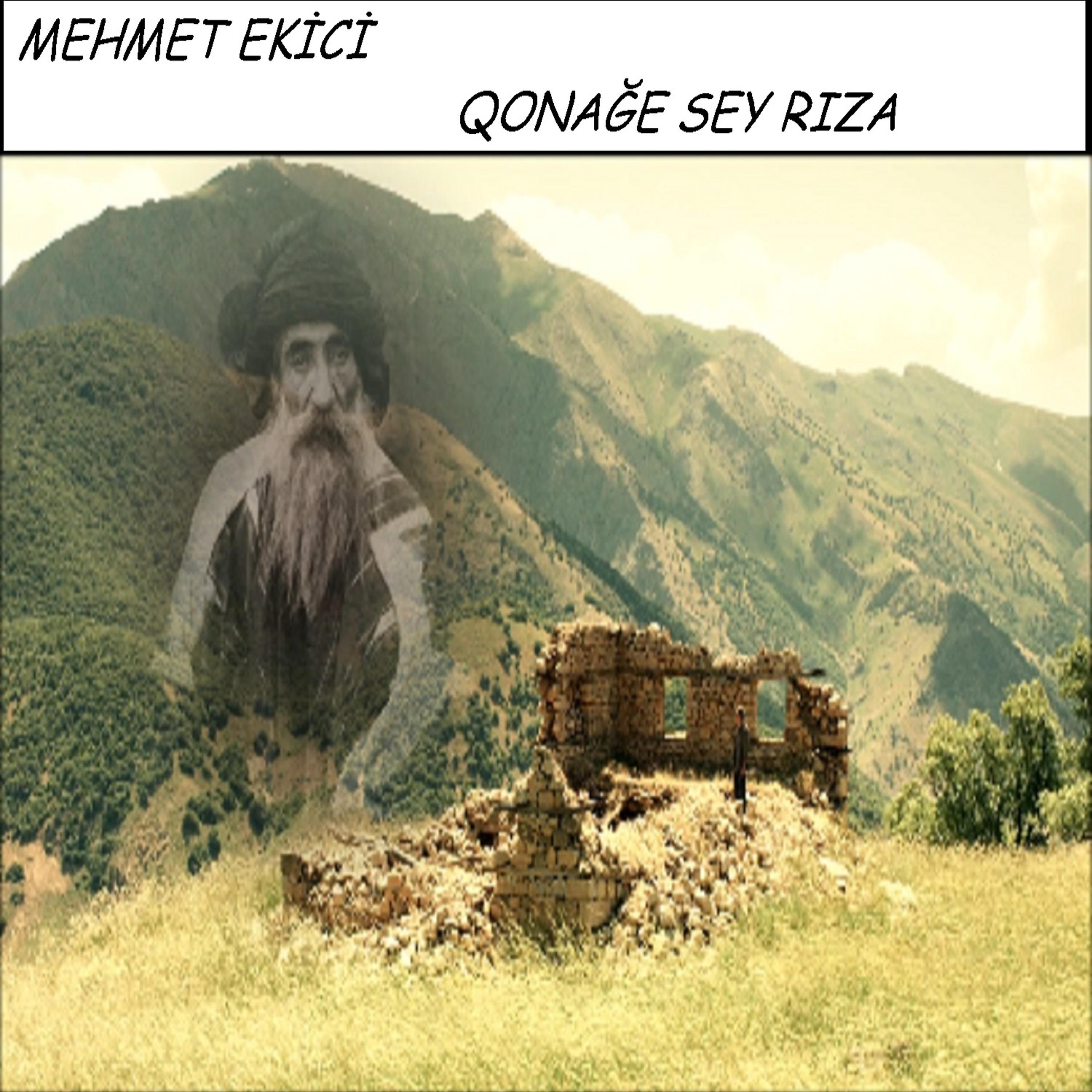 Постер альбома Qonağe Sey Rıza