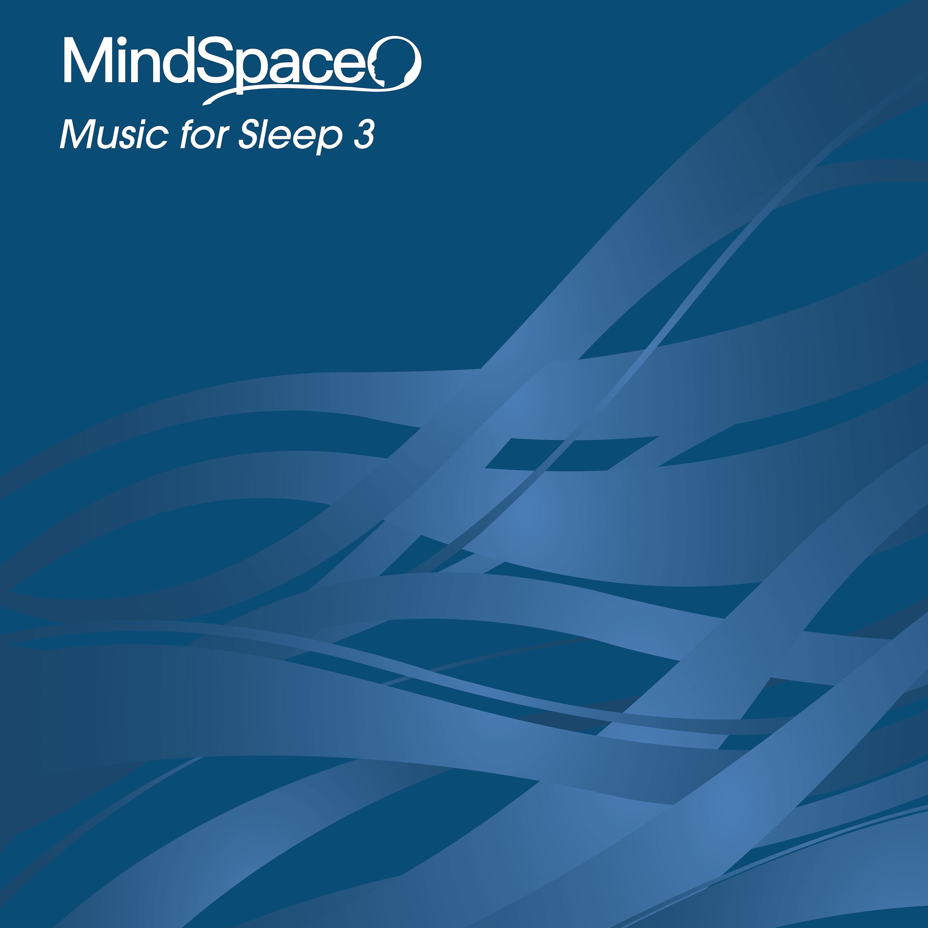 Постер альбома Music for Sleep 3