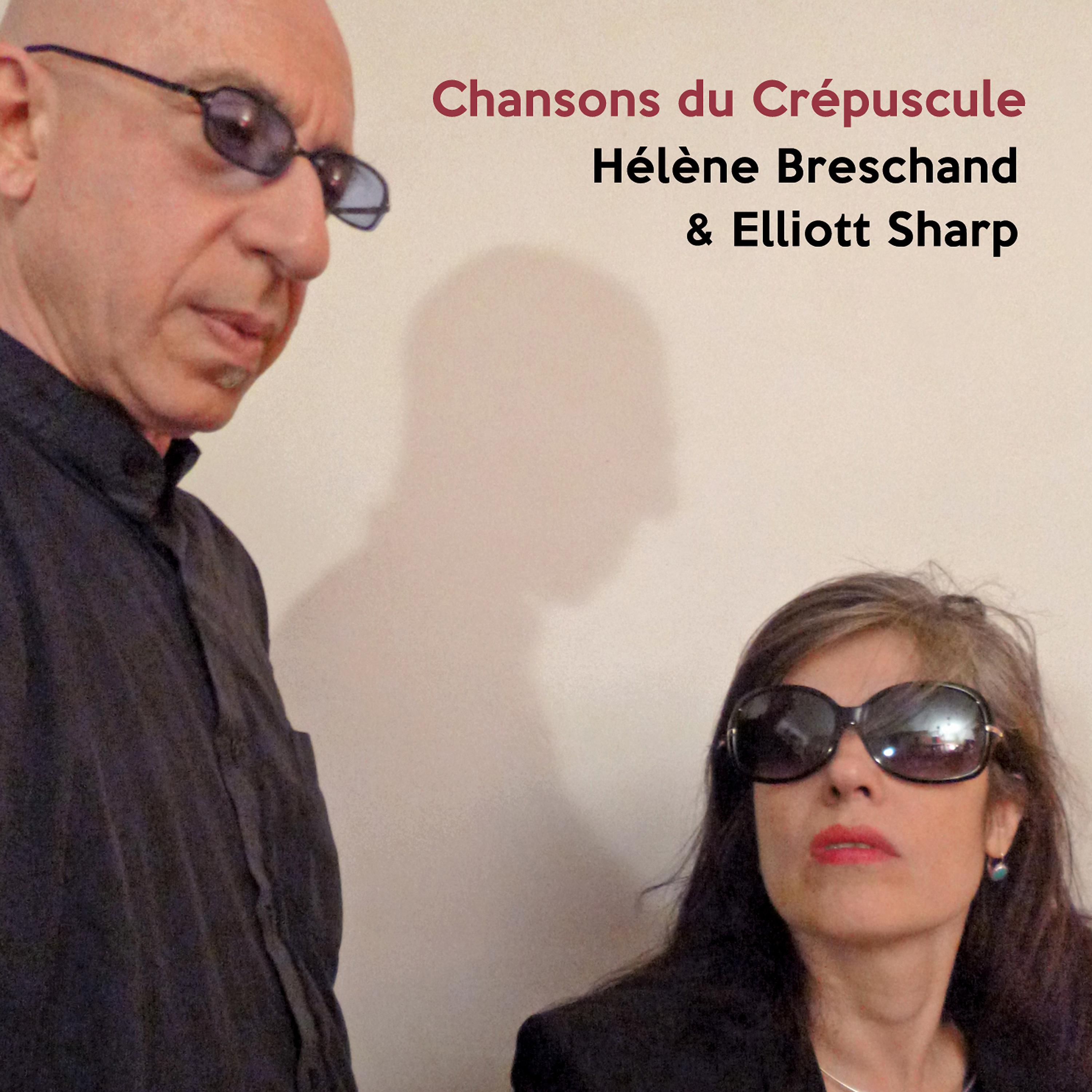 Постер альбома Chansons Du Crépuscule
