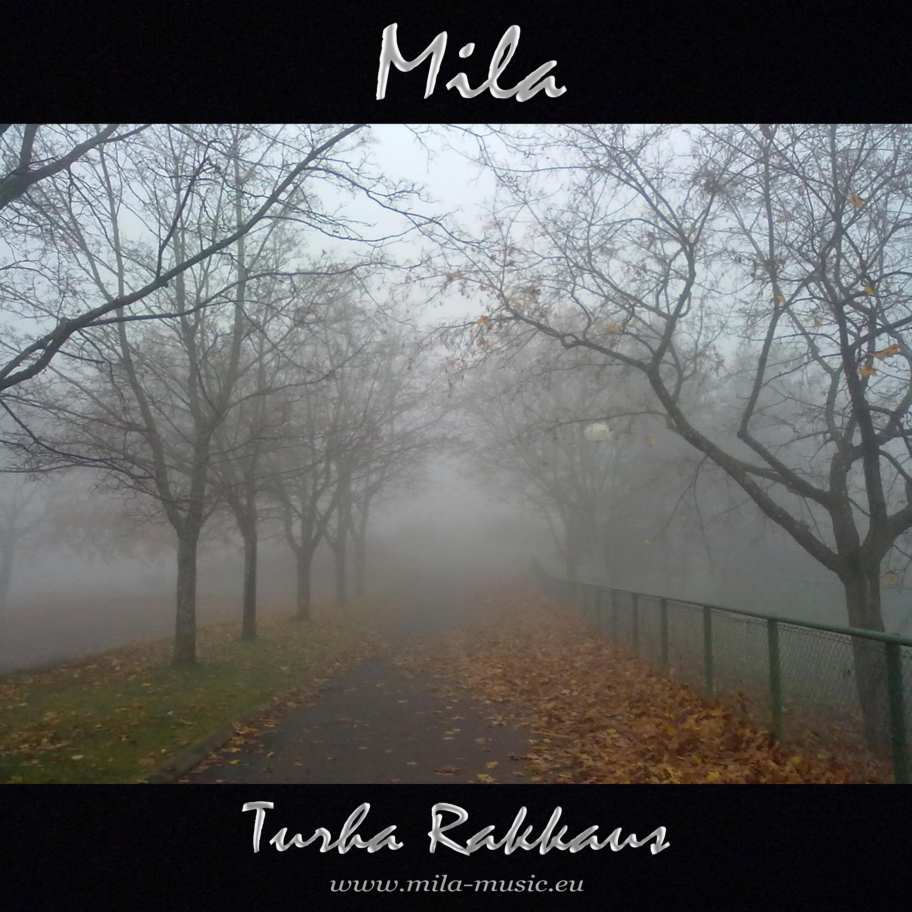 Постер альбома Turha Rakkaus