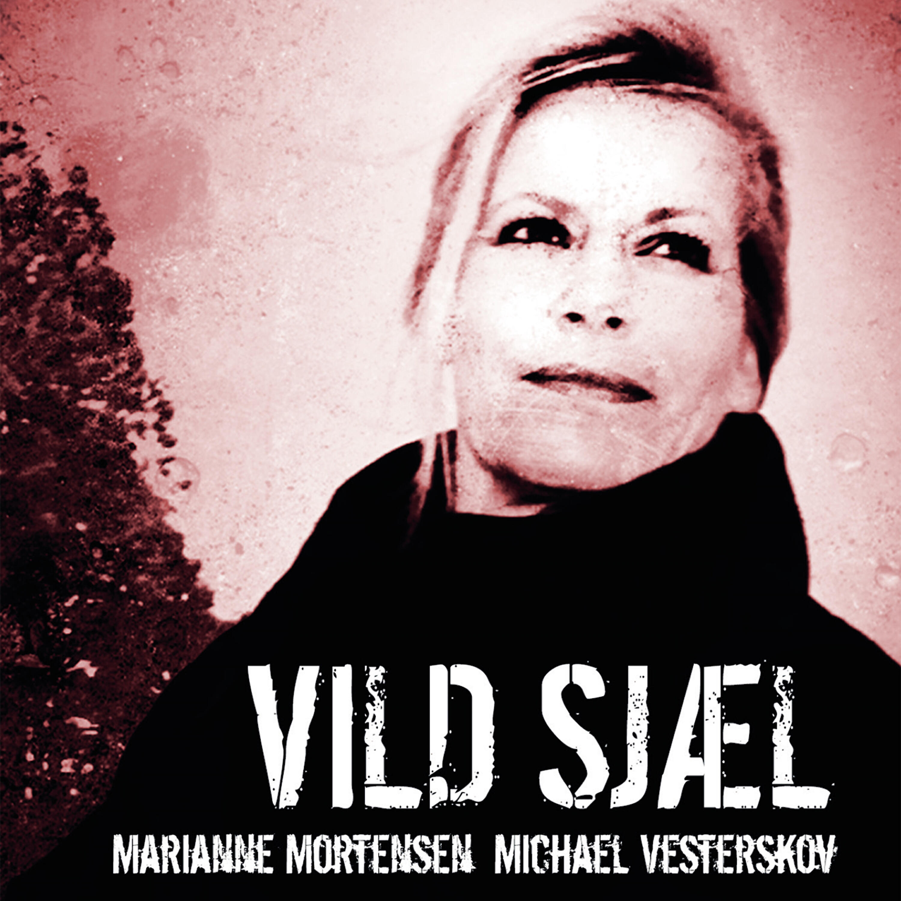 Michael Vesterskov - Livets Vals