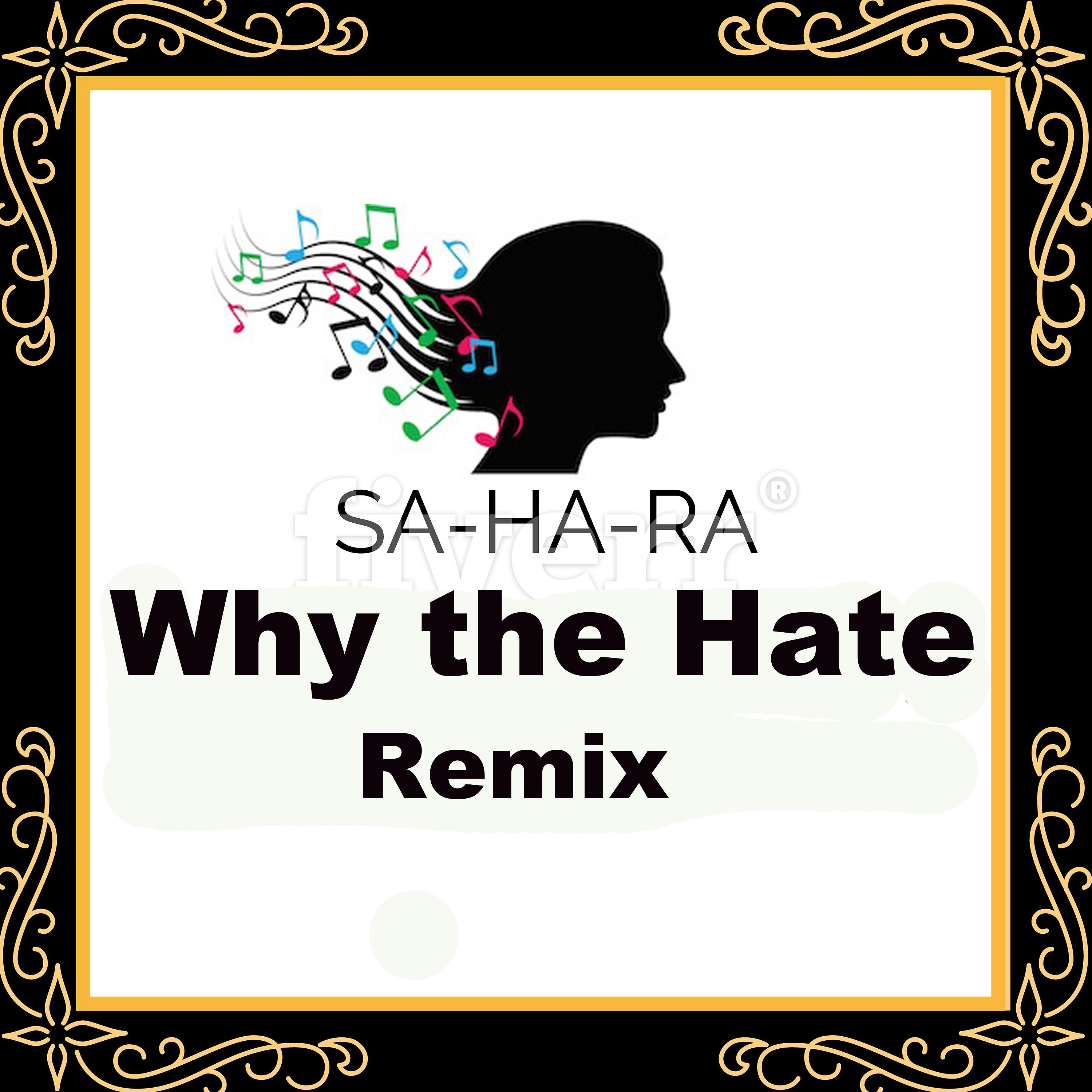 Постер альбома Why the Hate (Remix)