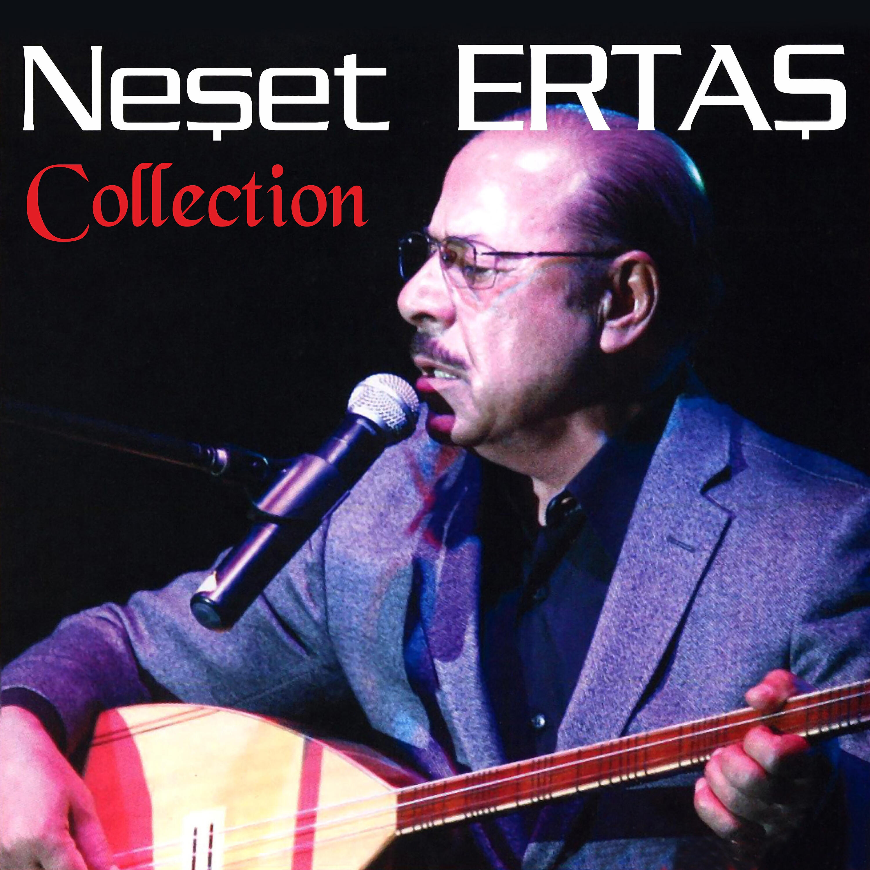 Neşet Ertaş - Garip Bülbül