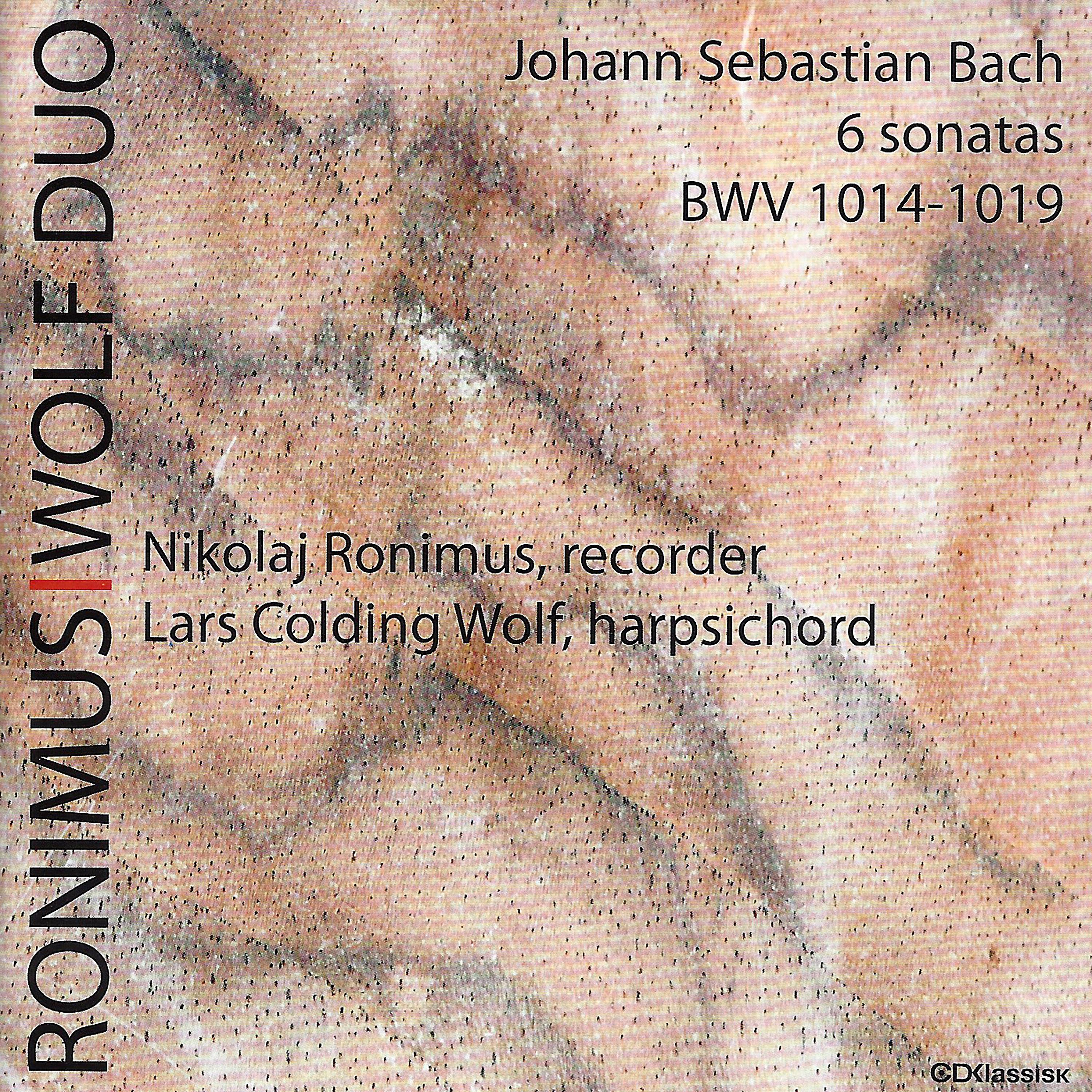Nikolaj Ronimus - Sonata III In E, BWV 1016: II. Allegro