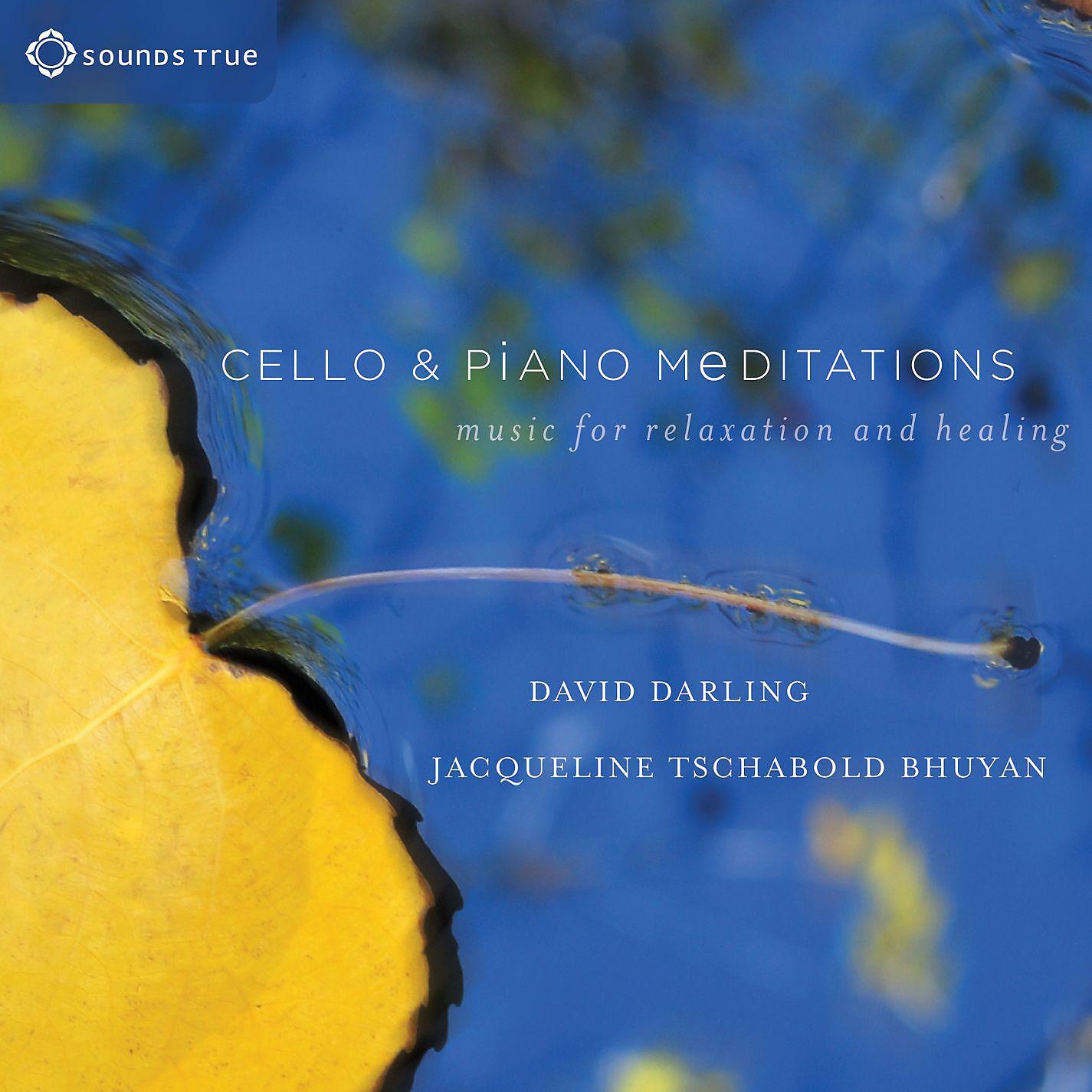 Постер альбома Cello and Piano Meditations: Music for Relaxation and Healing