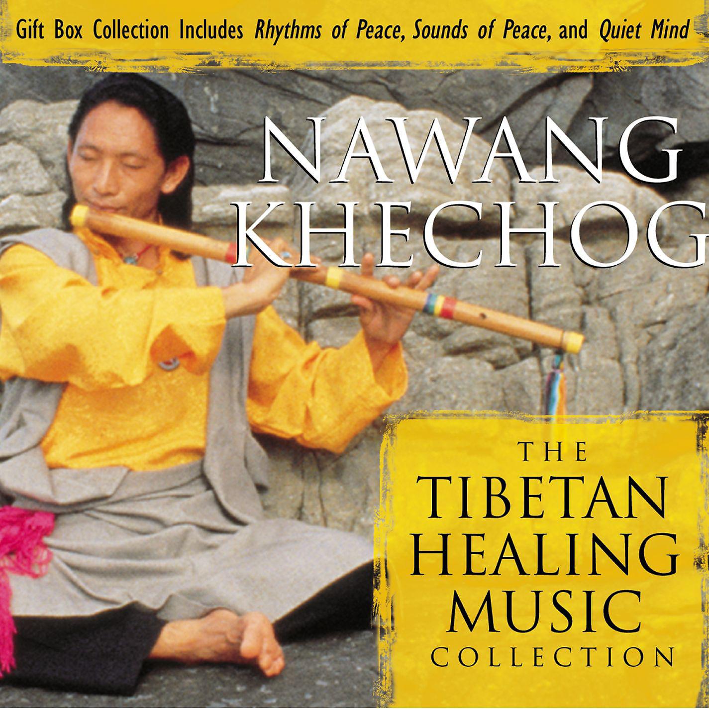 Постер альбома Tibetan Healing Music Collection