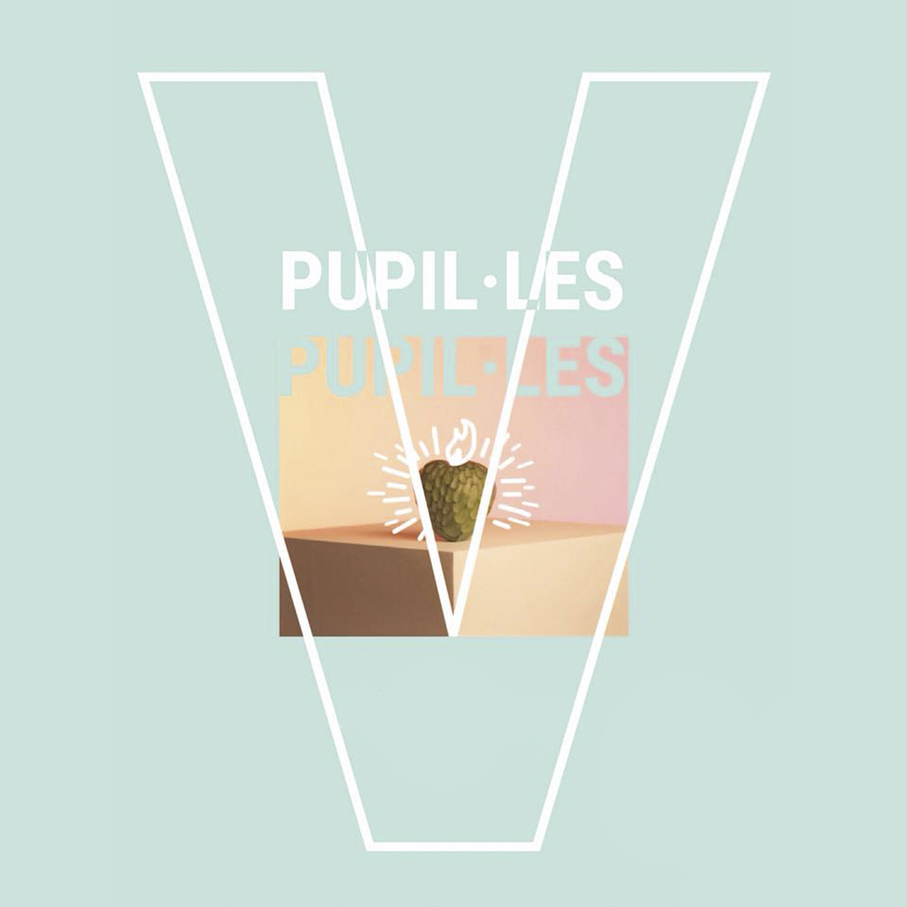 Pupil·les - V